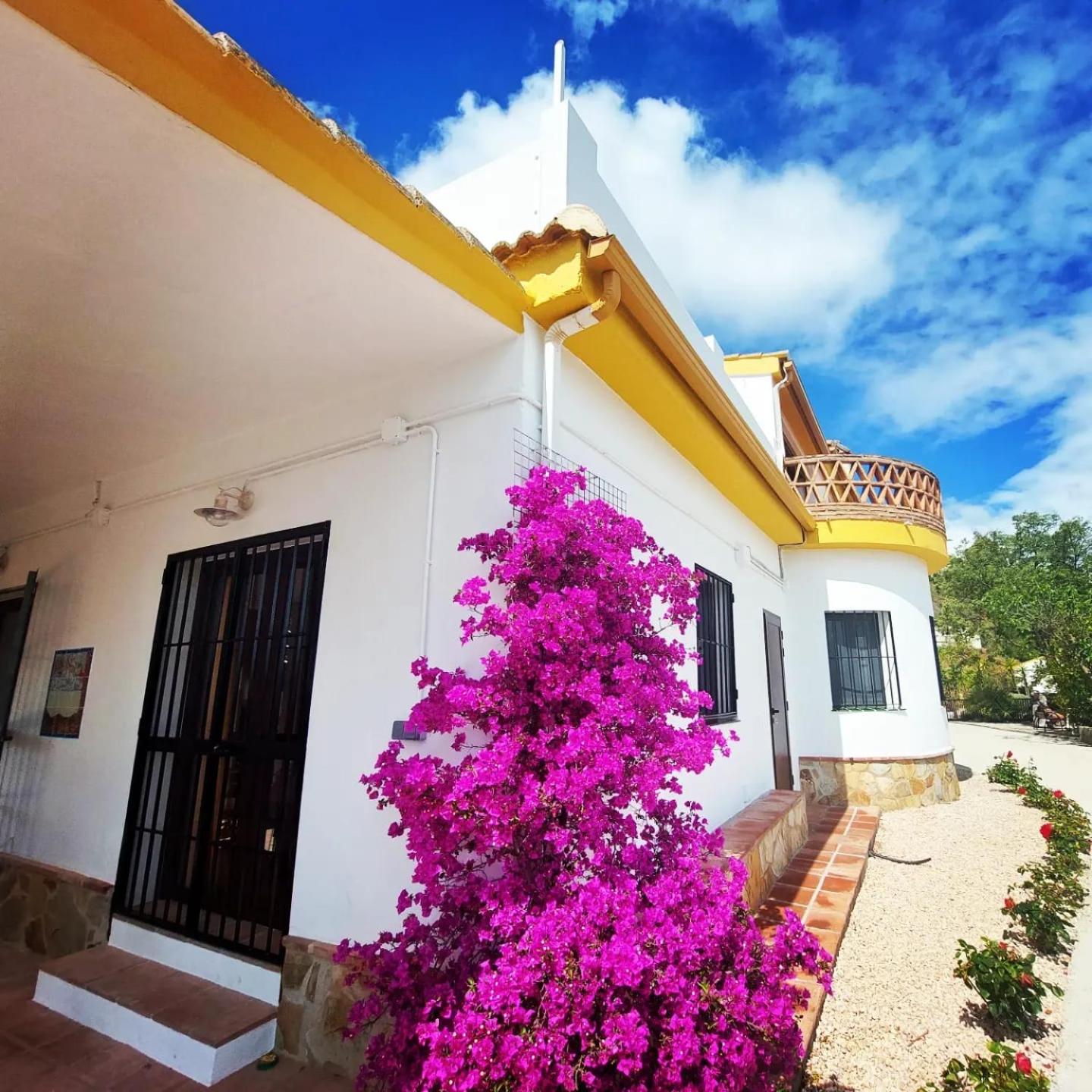 B&B Sara Sueño