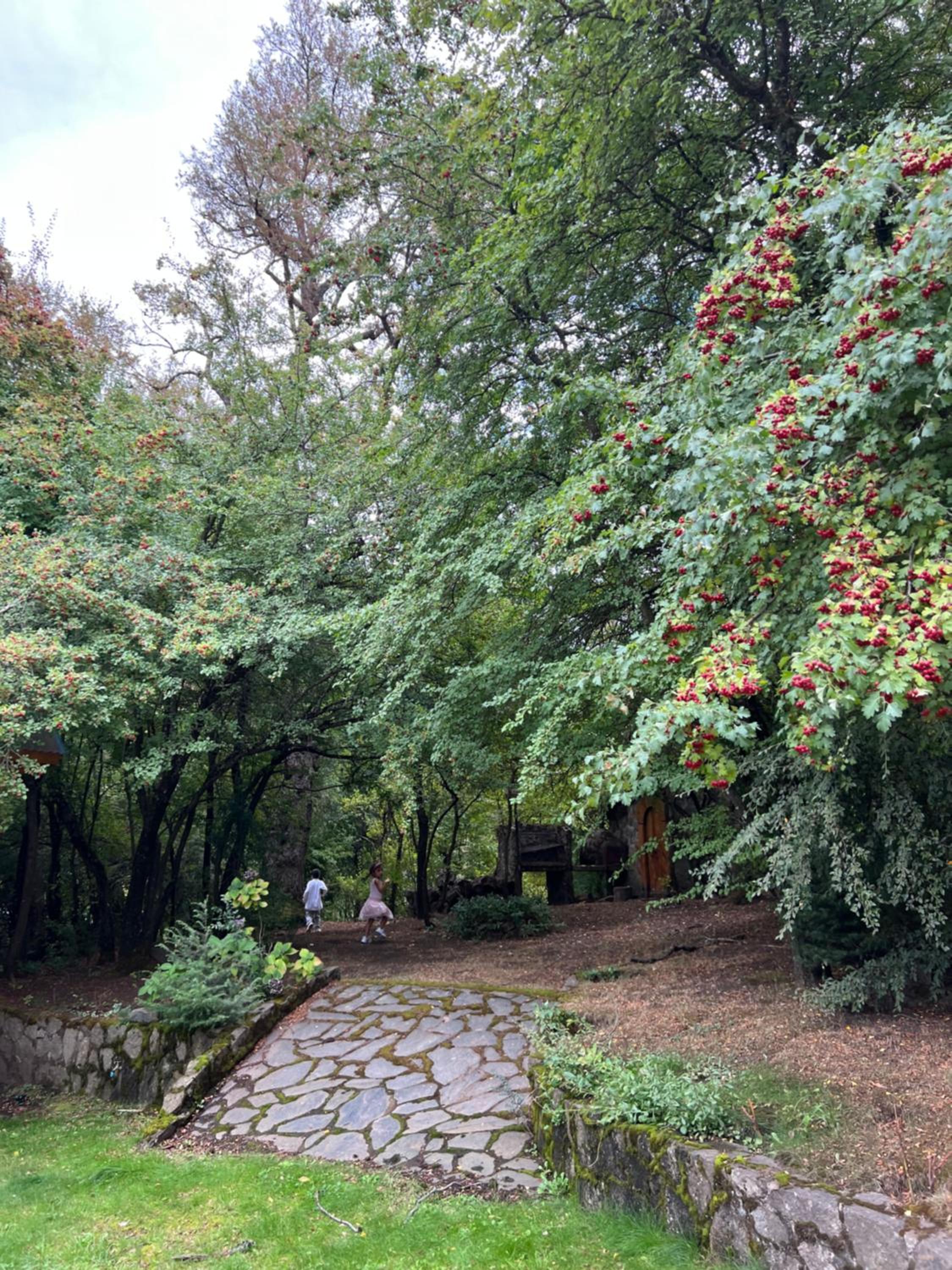 La casita de LOS CERROS DE SMA