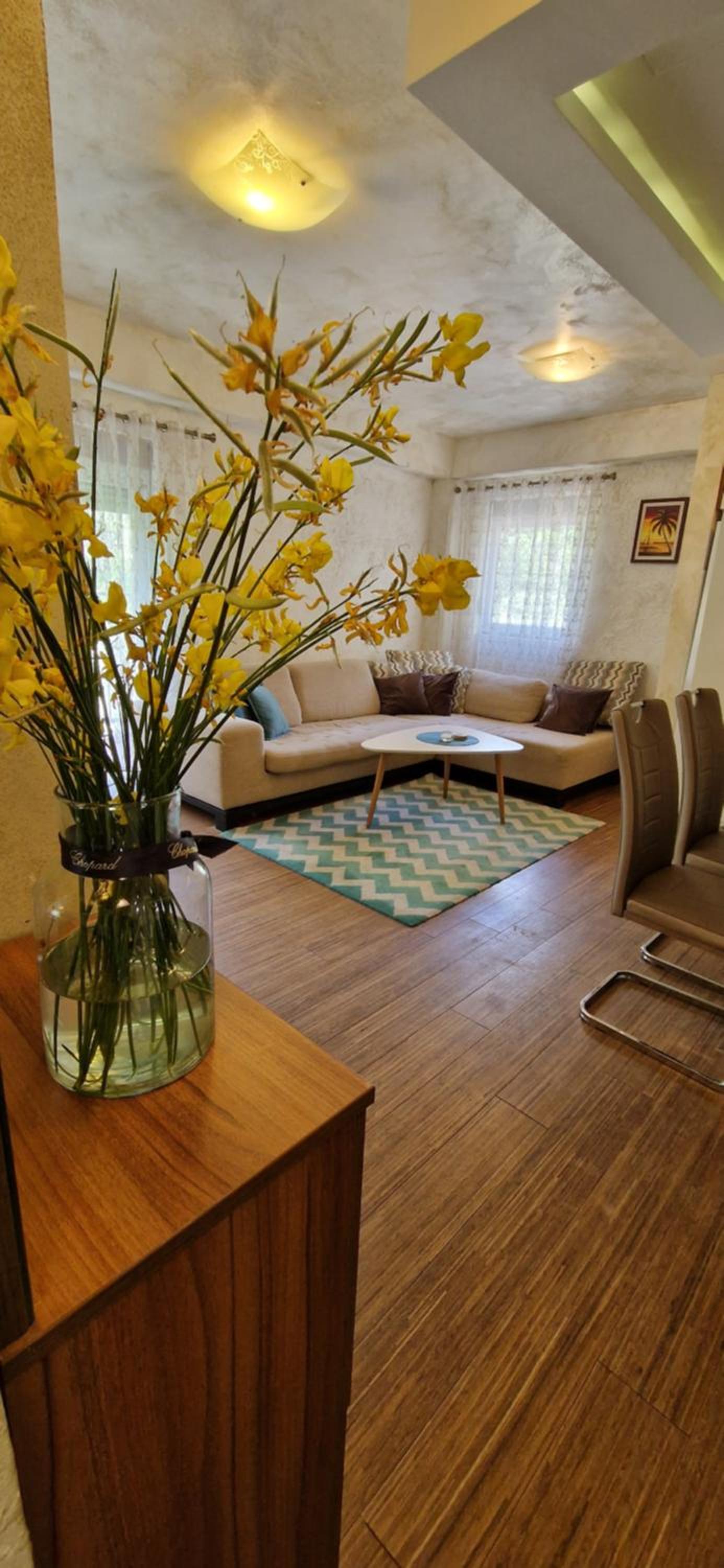 One Bedroom Apartment Petrovac