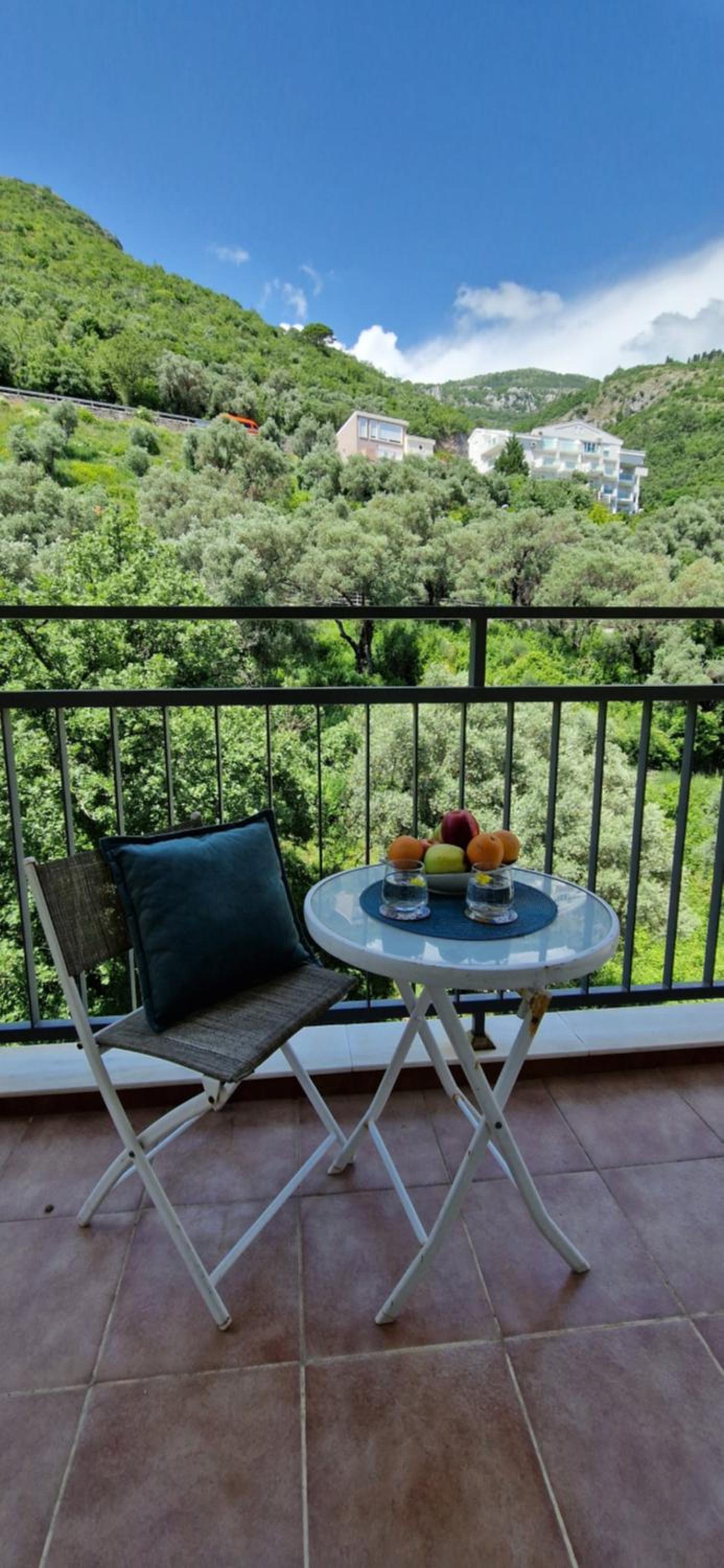 One Bedroom Apartment Petrovac