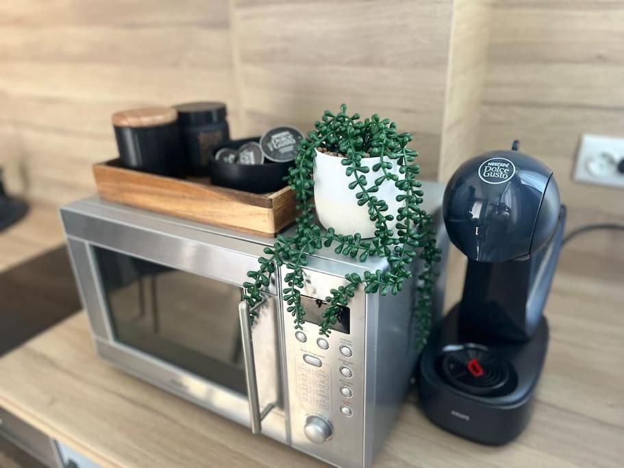 Sea Garden Apartment