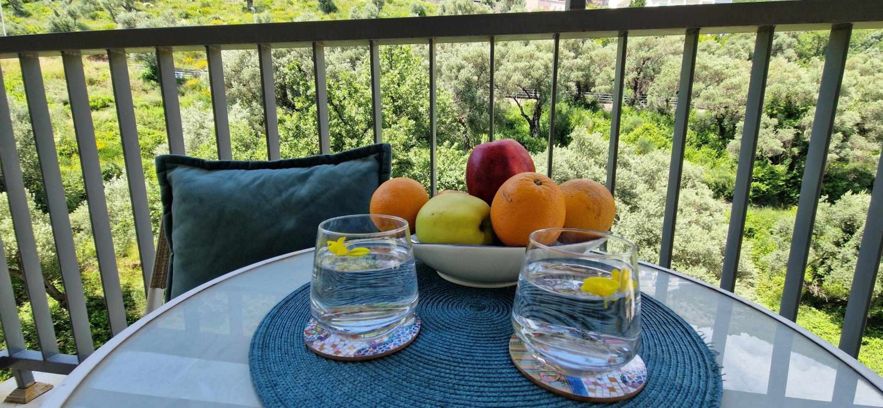 One Bedroom Apartment Petrovac
