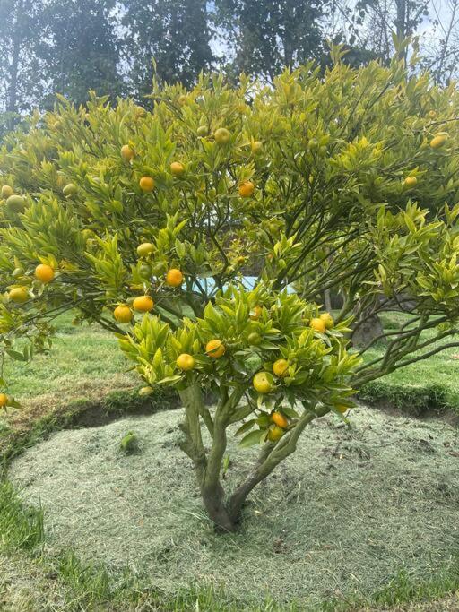 Casa de campo Guano Ecuador