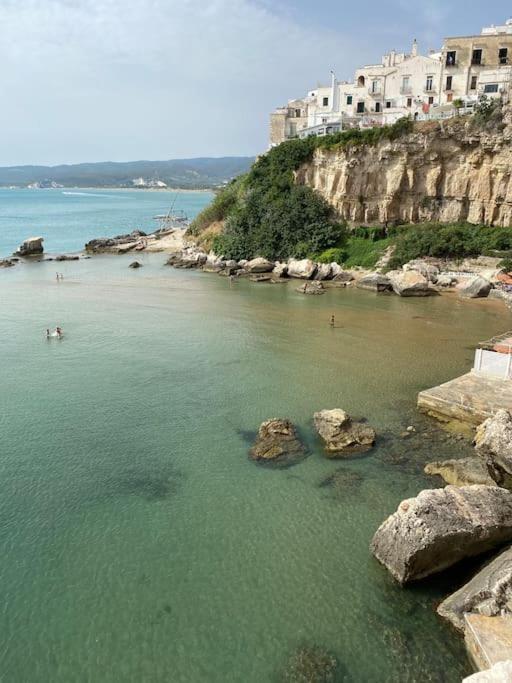 Cozy Sea View Flat with Private 83 sq Rooftop, Balcony, and BBQ in the Old Town photo 5