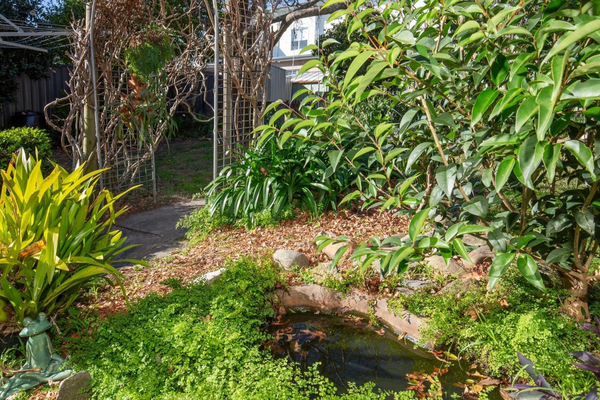 Seagrass Pet Friendly 10 Mins Walk to Beach