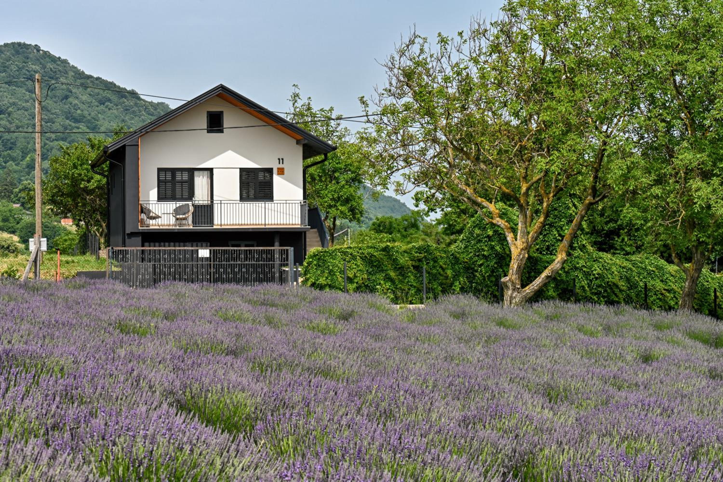 Vacation Home - NEST Kalnik view 5