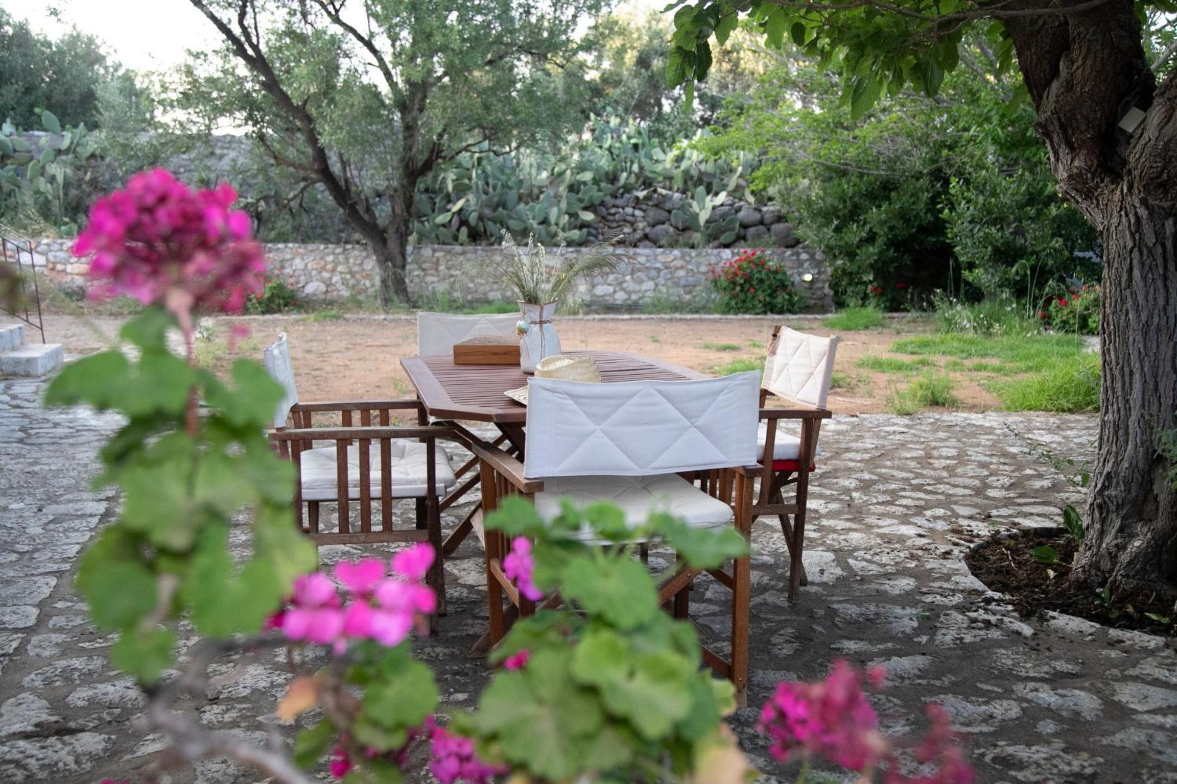 Anna's Garden