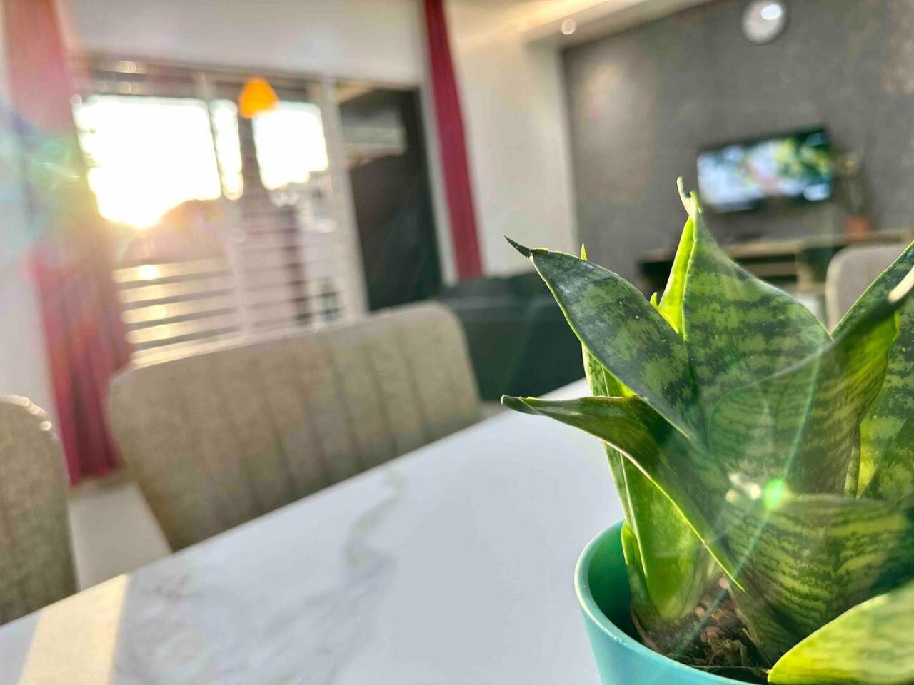 Corner Homestay with Garden and Private Parking