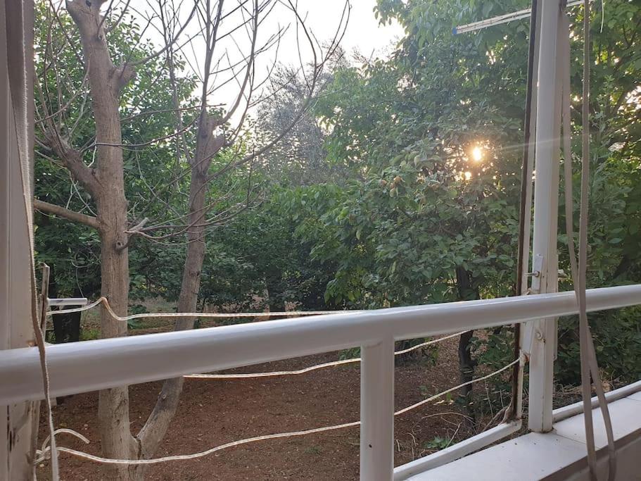Warm & Welcoming Vele Residence view 5