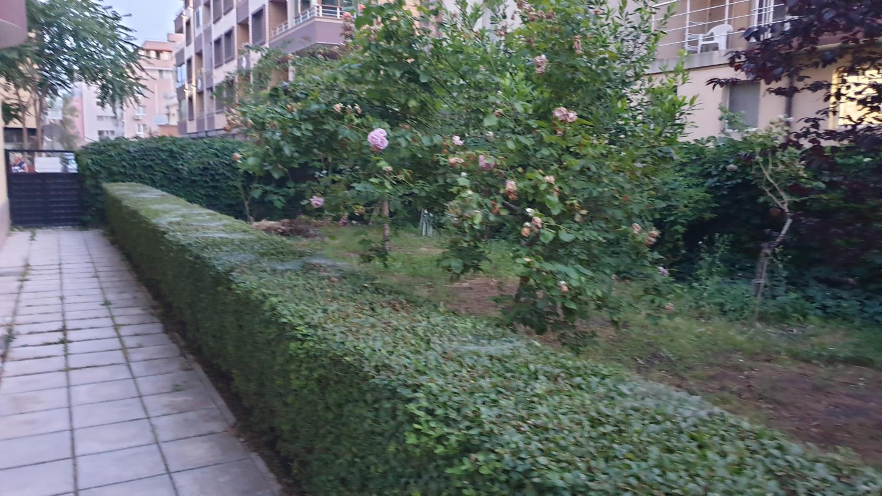 Central Park apartment