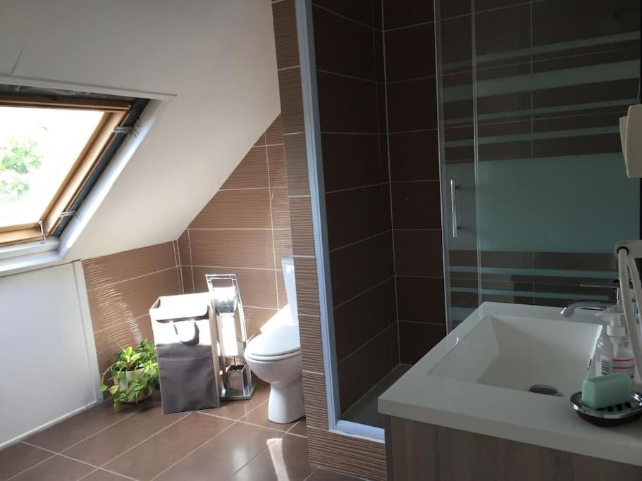 Villa Laurier Rose avec piscine proche lagon de La Saline