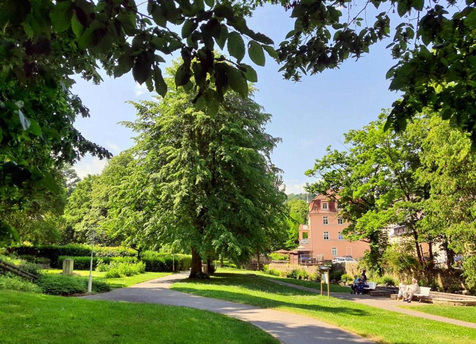 ArtHouse Am Kurpark Bad Schandau