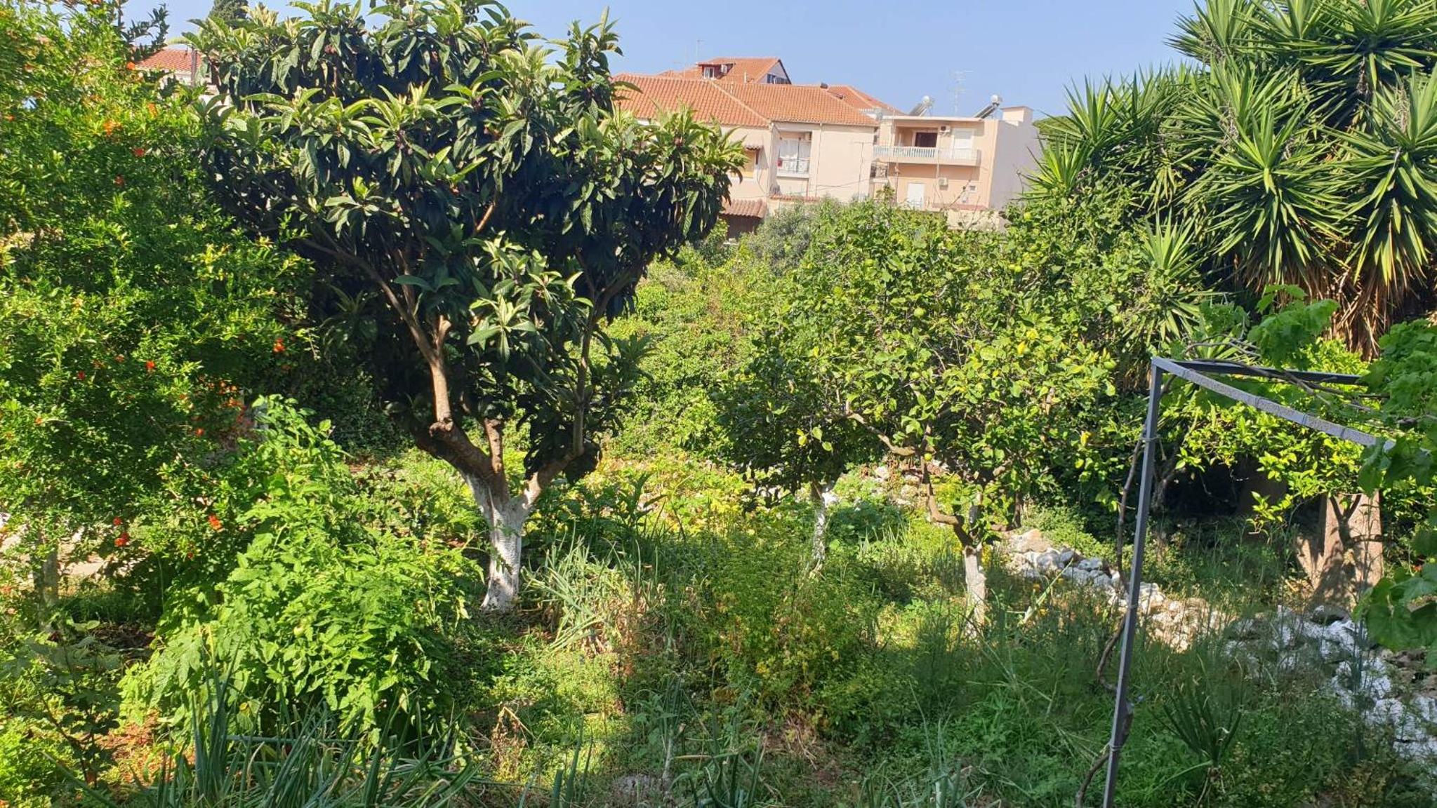 Xristina's Experience view 5
