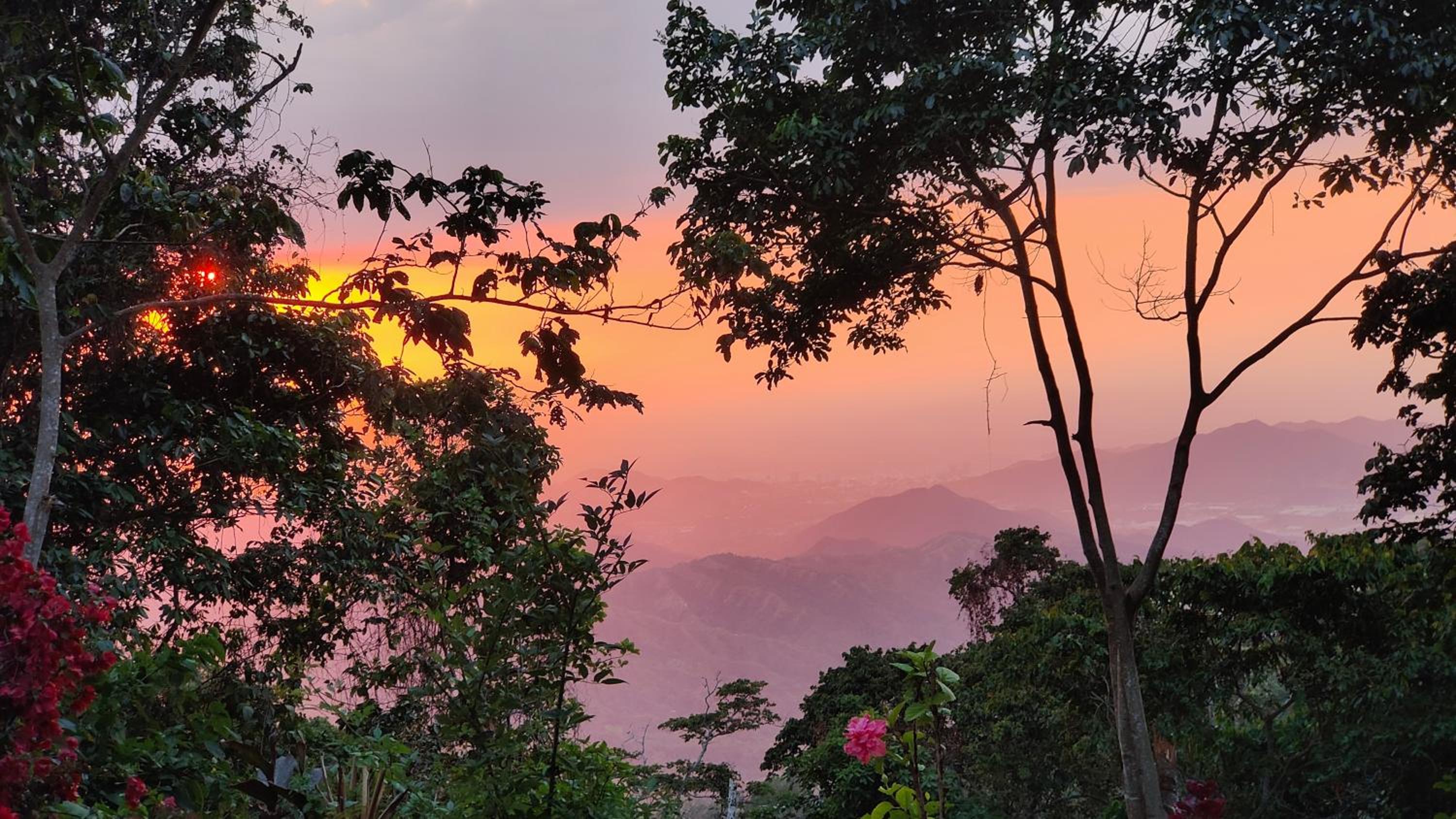 Minca Sintropia - Sustainable Lodge & Organic Coffee Finca