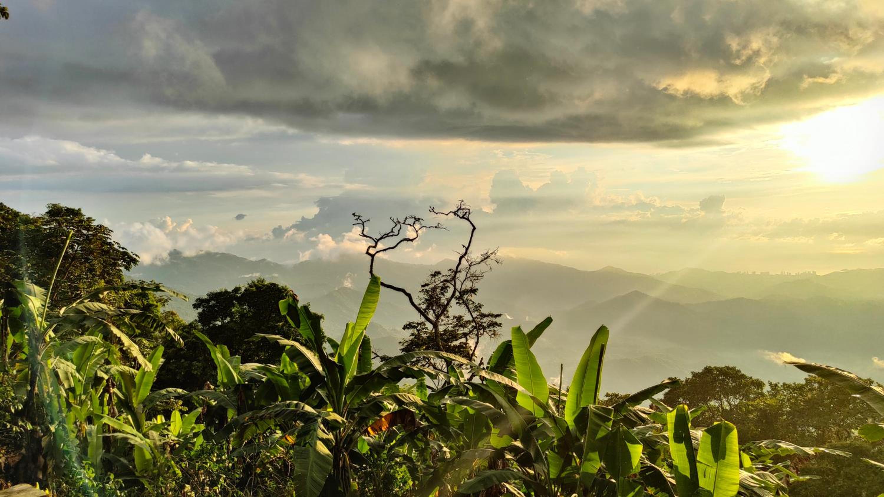 Minca Sintropia - Sustainable Lodge & Organic Coffee Finca
