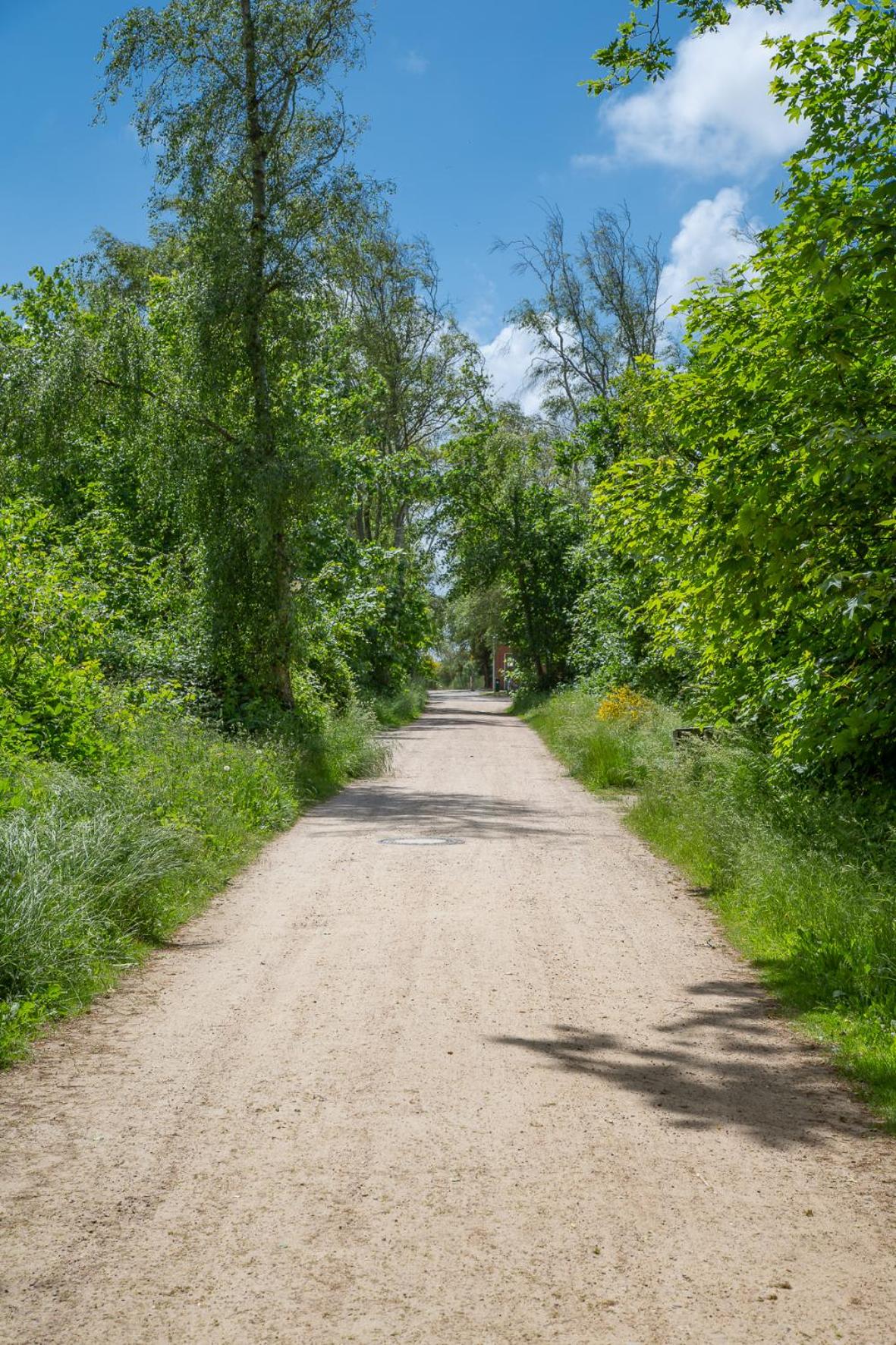 Photo 28