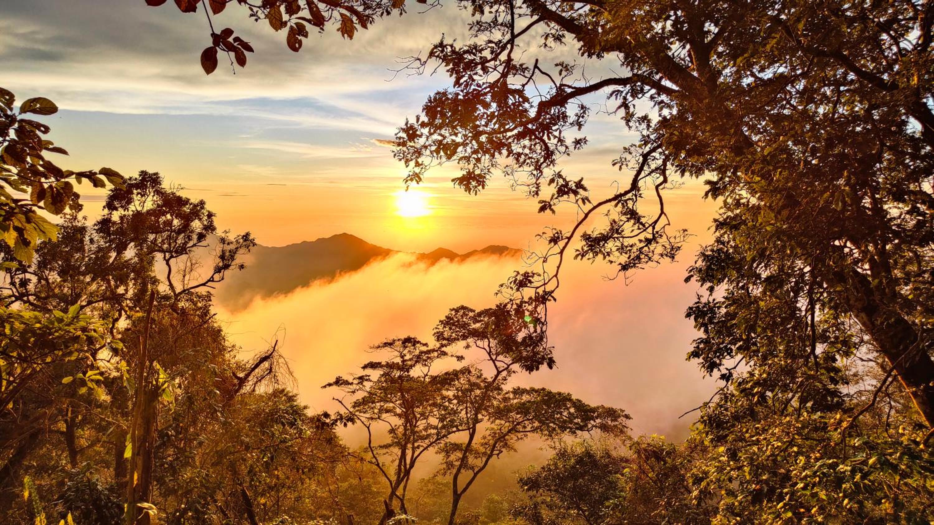 Minca Sintropia - Sustainable Lodge & Organic Coffee Finca