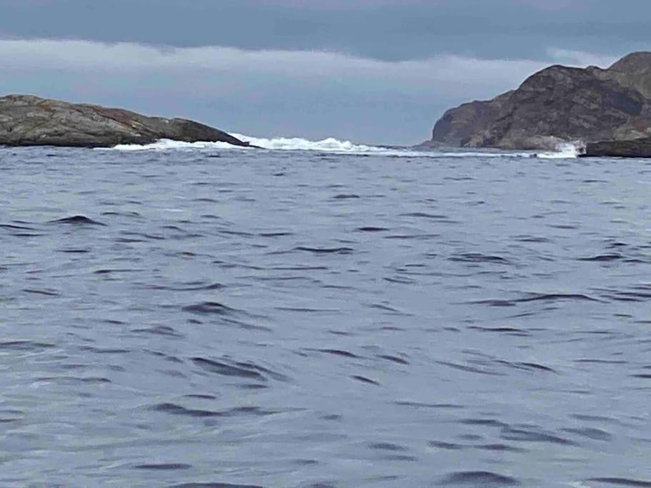 Photo 47