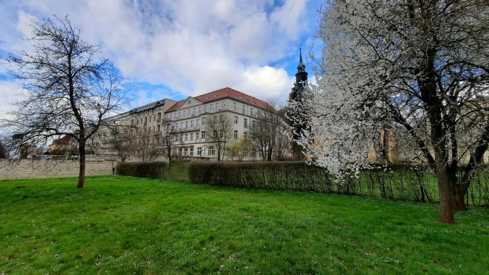 ArtHouse Am Kurpark Bad Schandau