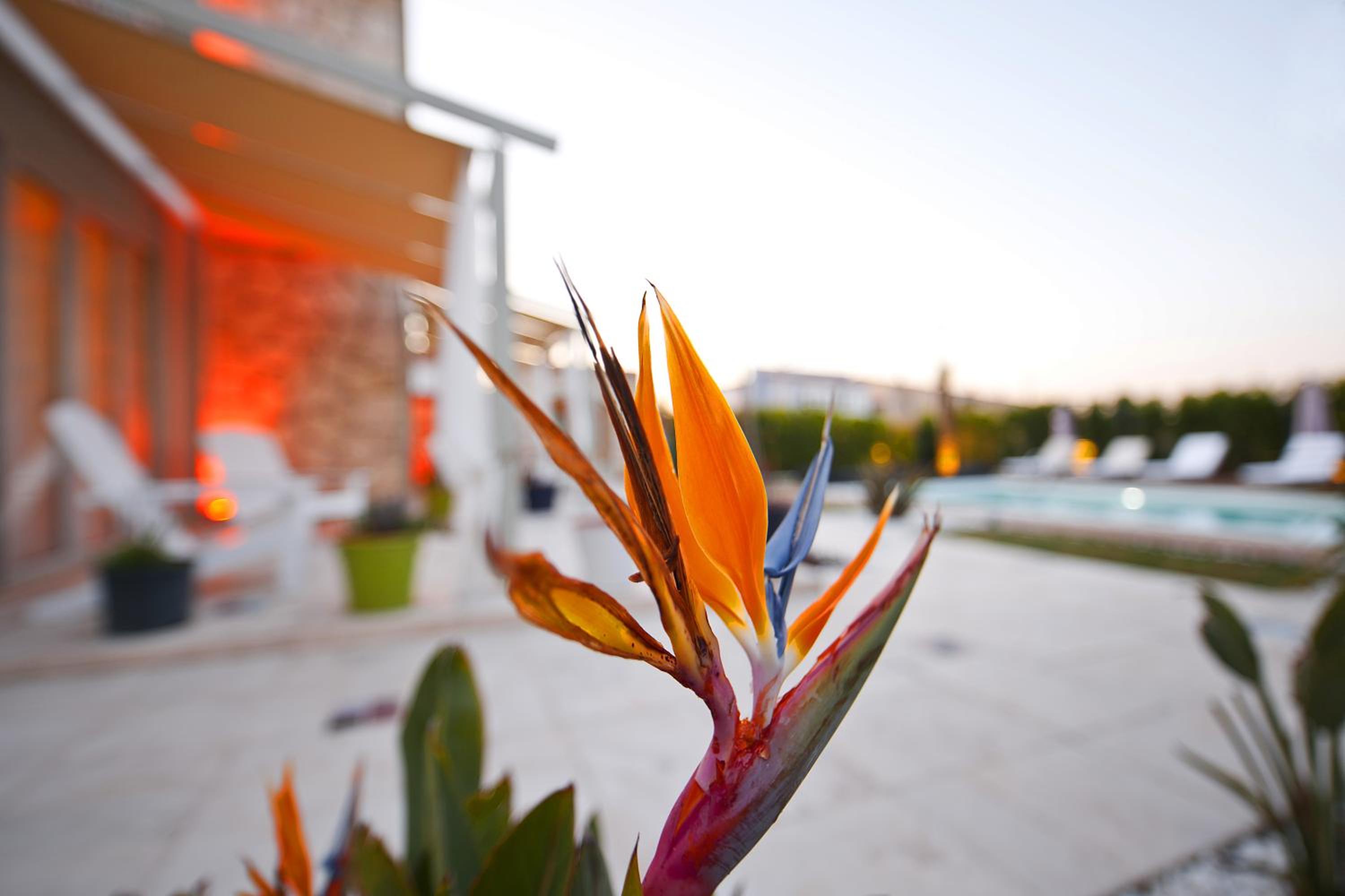 Sade Alacati Hotel