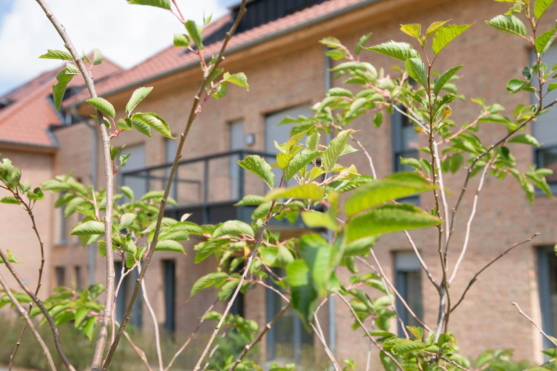 Photo 205