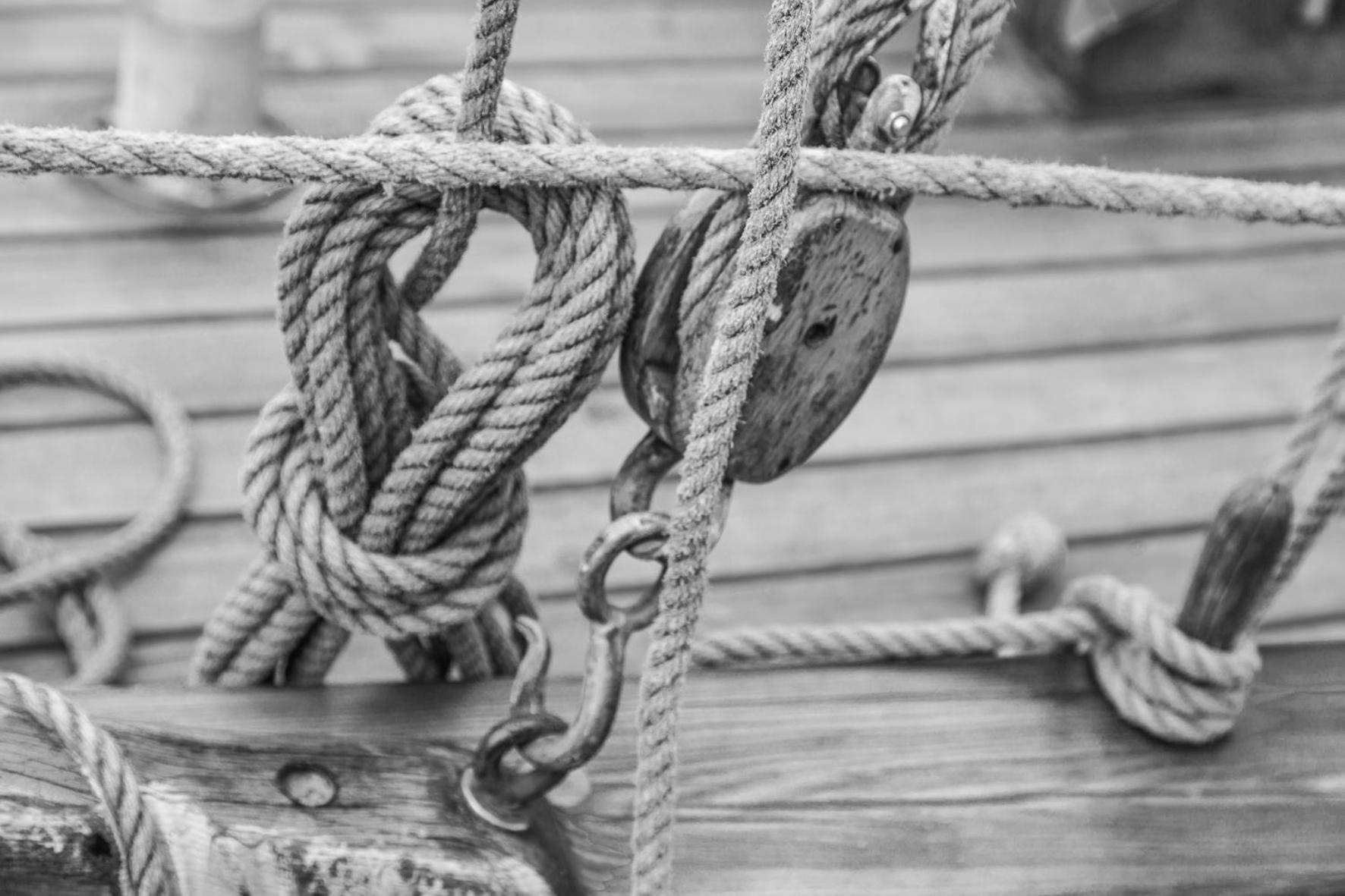 Photo 181