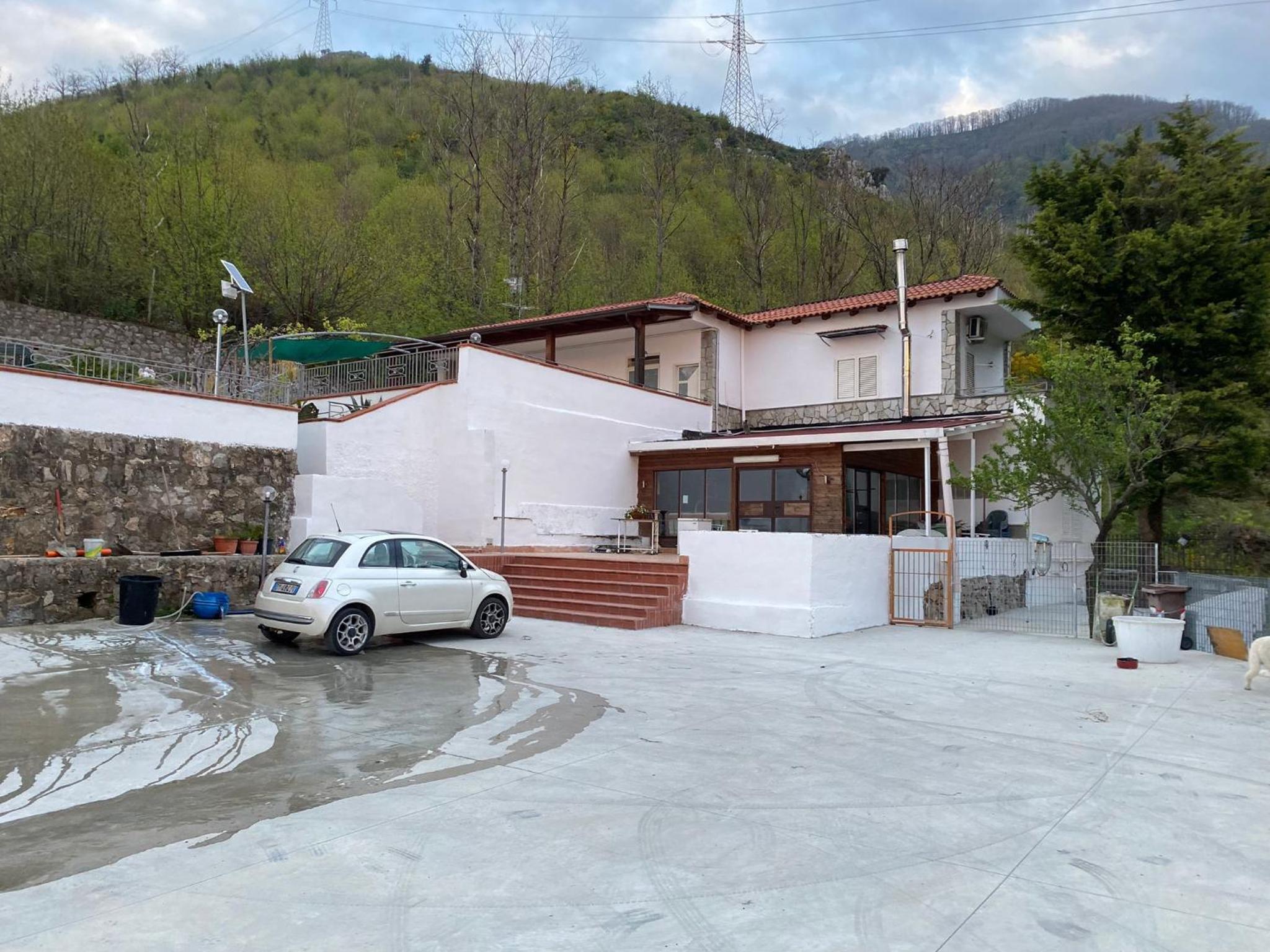 Photo 12