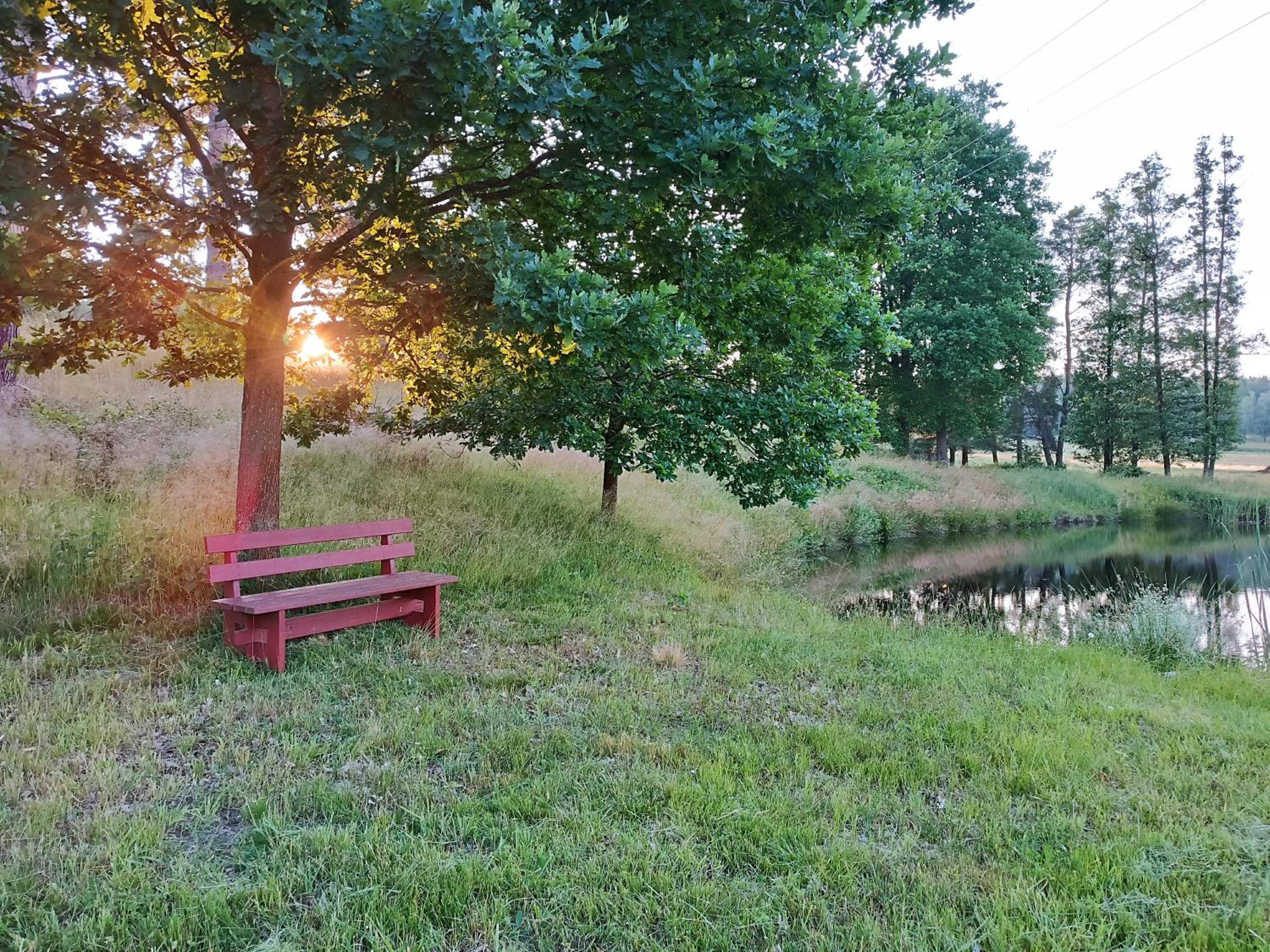 Klidná lokalita Na kraji lesa, celý dům s úschovnu kol