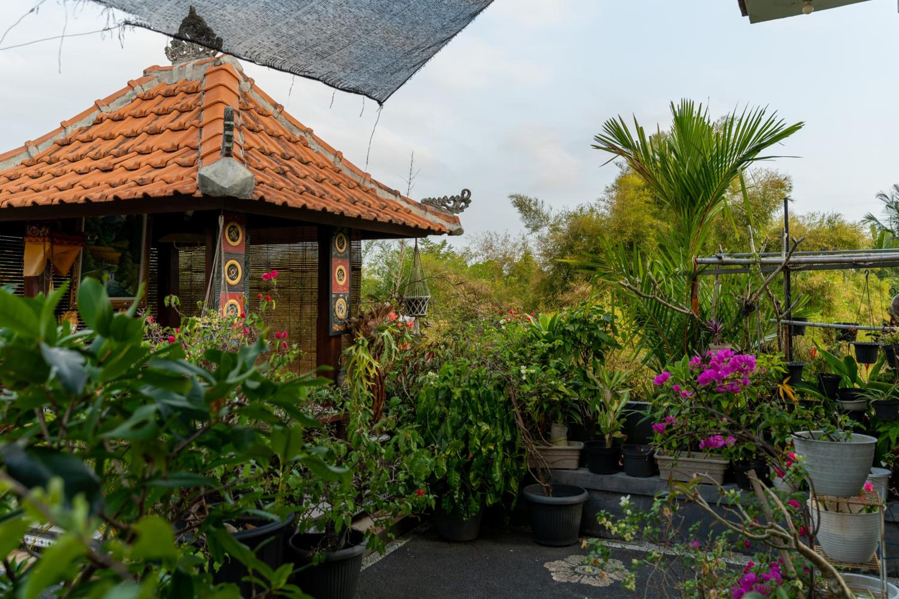 Yunda Guest house no.6 Andong Ubud view 3