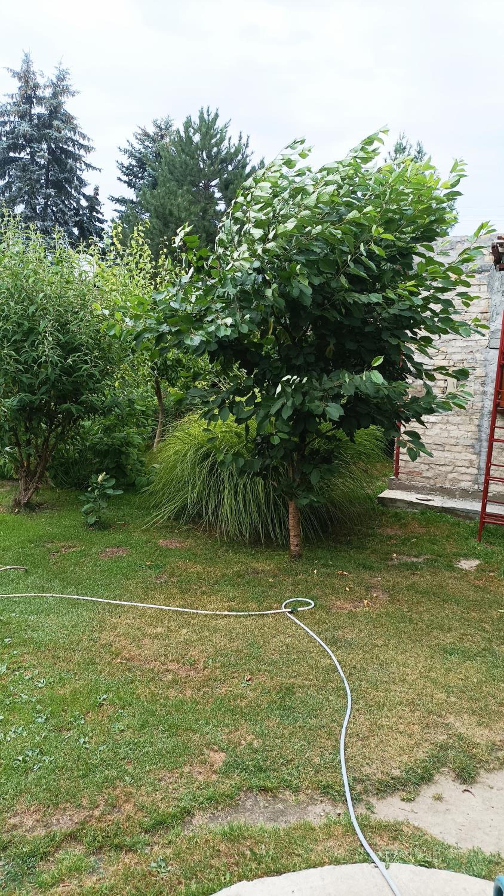 Photo 56