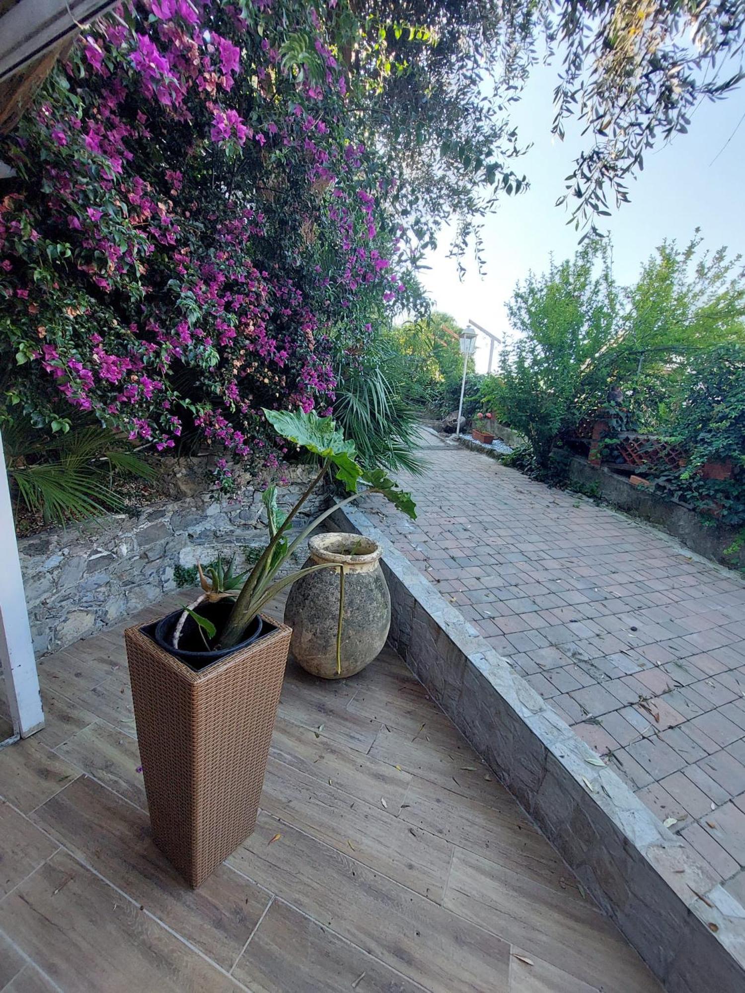 Riviera Garden