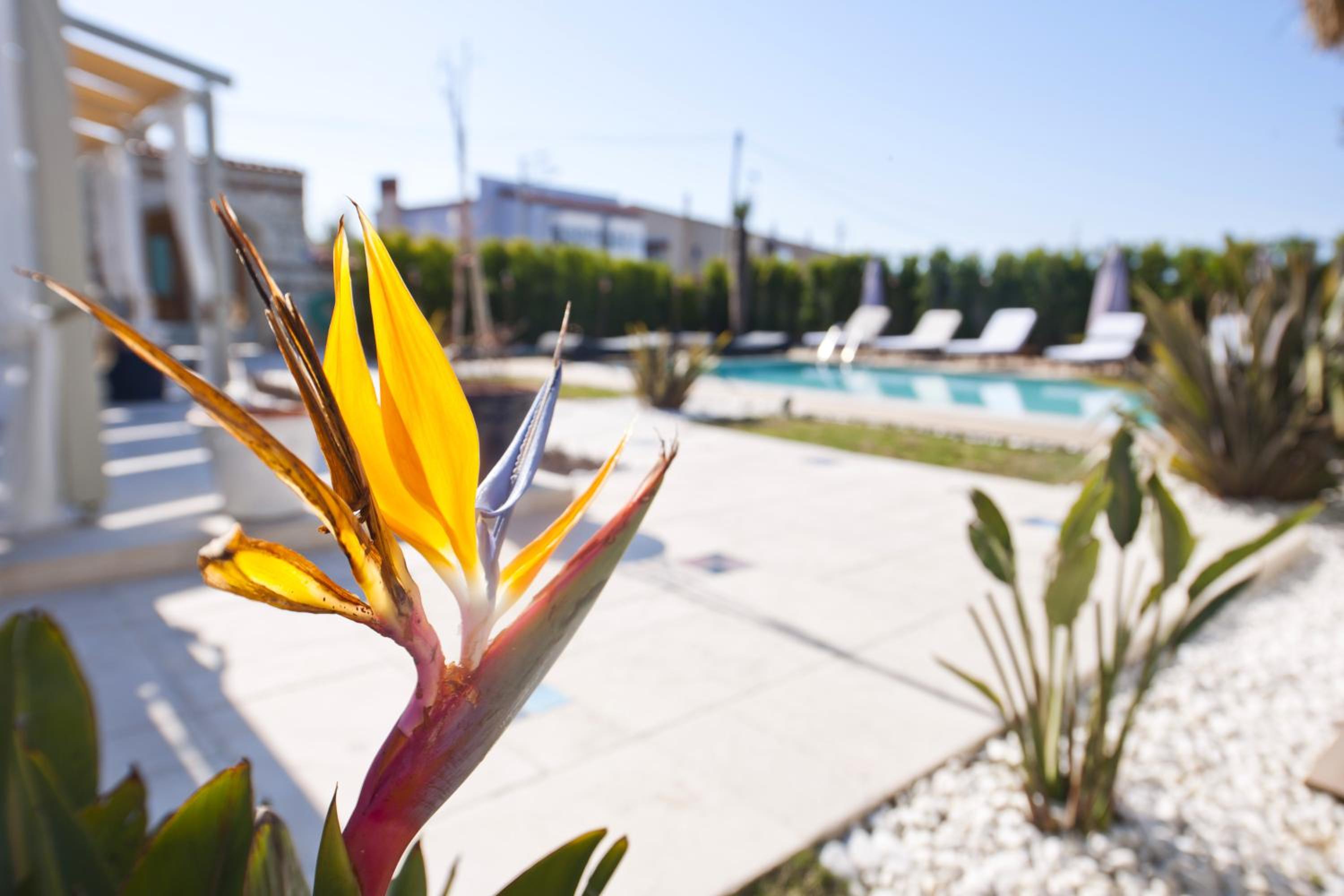 Sade Alacati Hotel