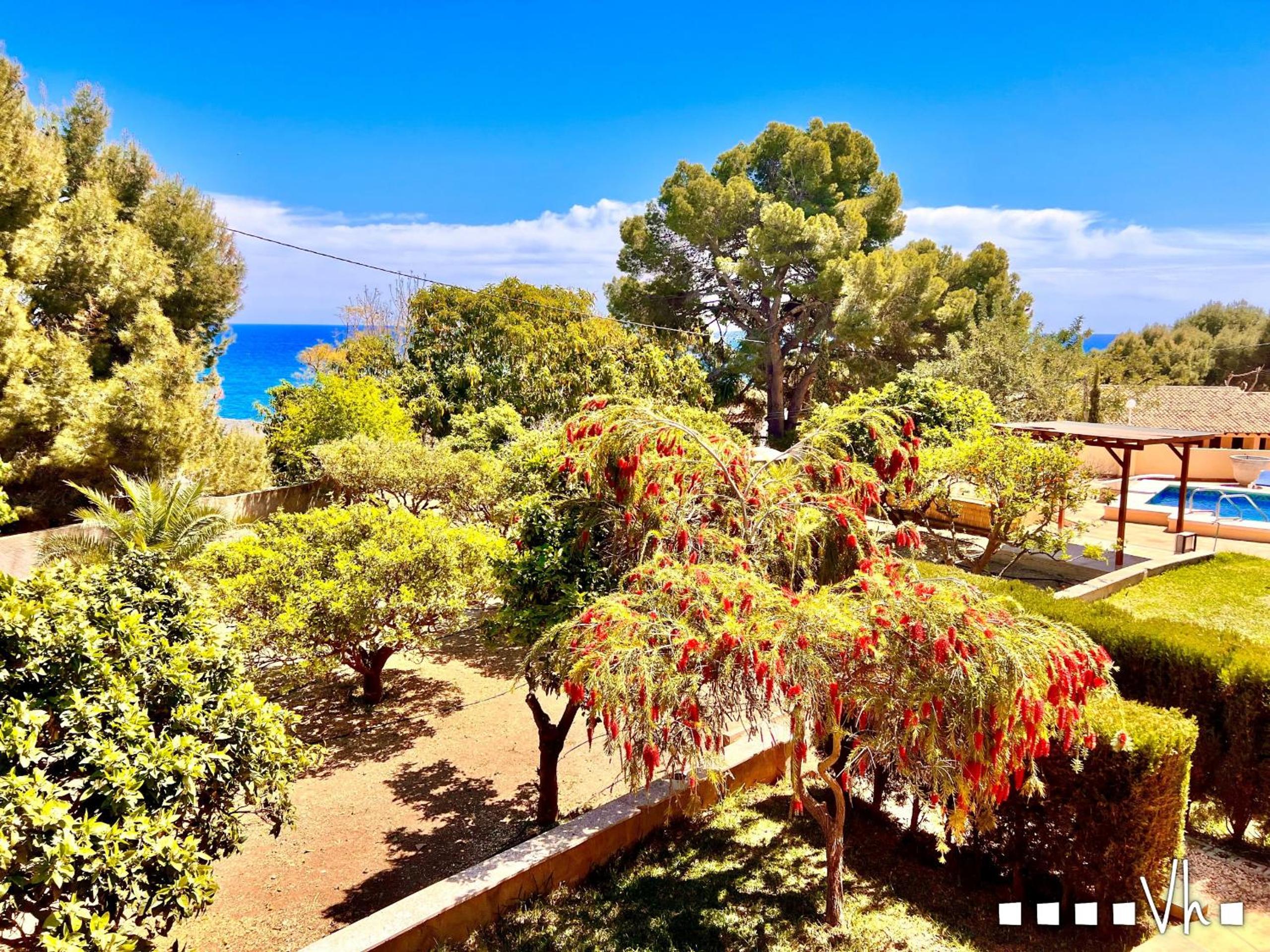VH Costa Blanca - LLOBELLA view 5
