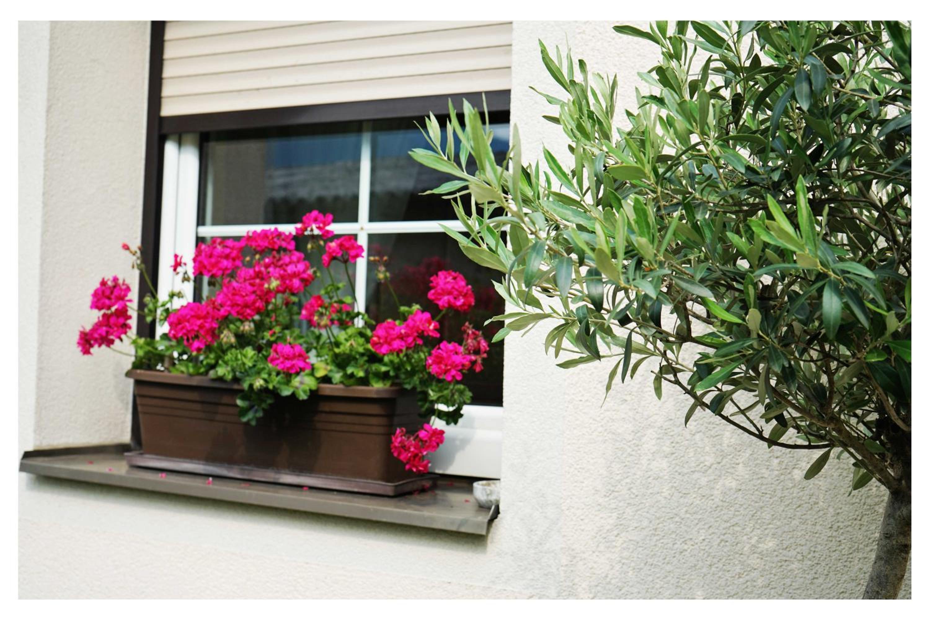 Ingrid’s Guesthouse Spittal
