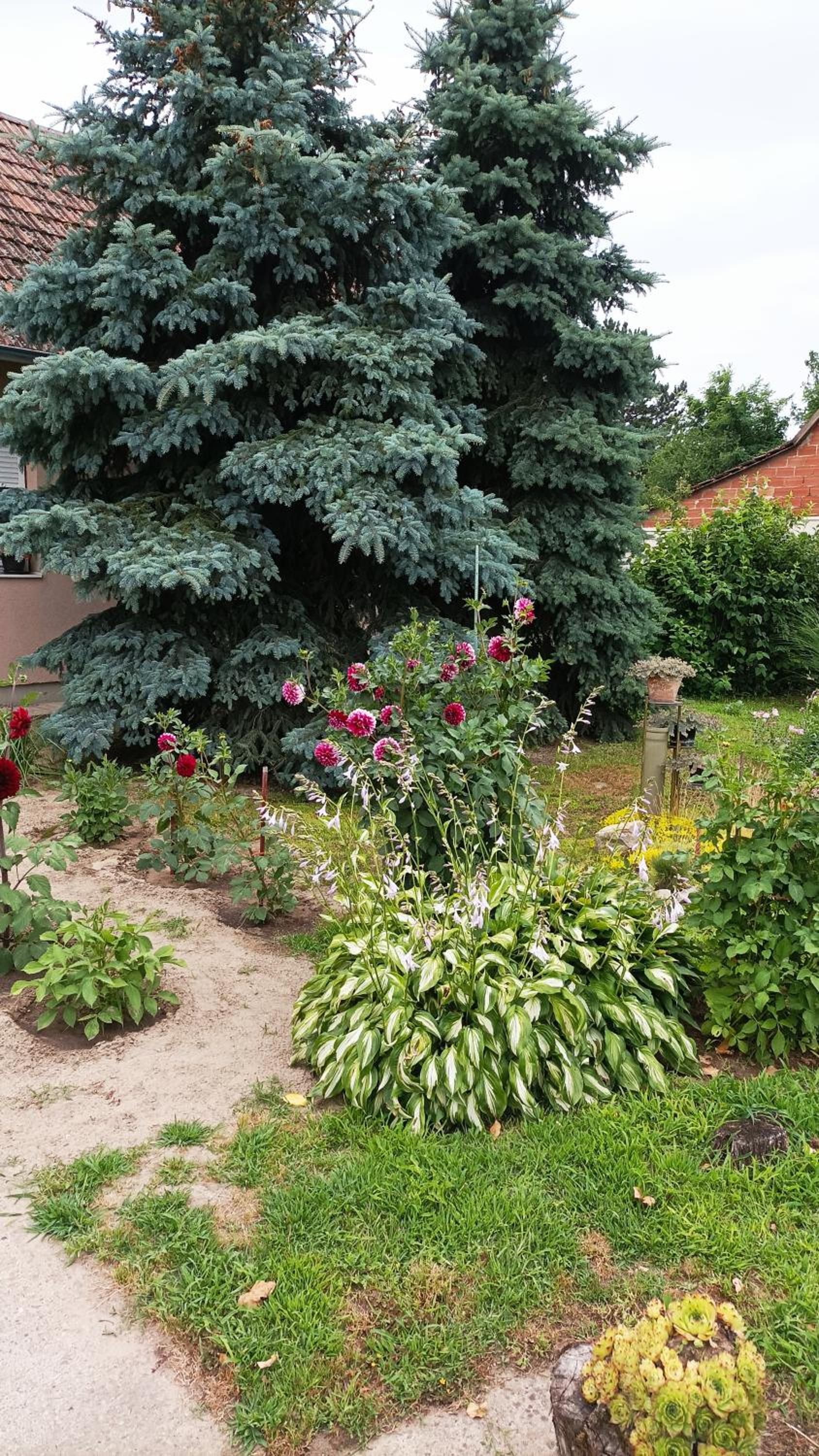 Photo 64