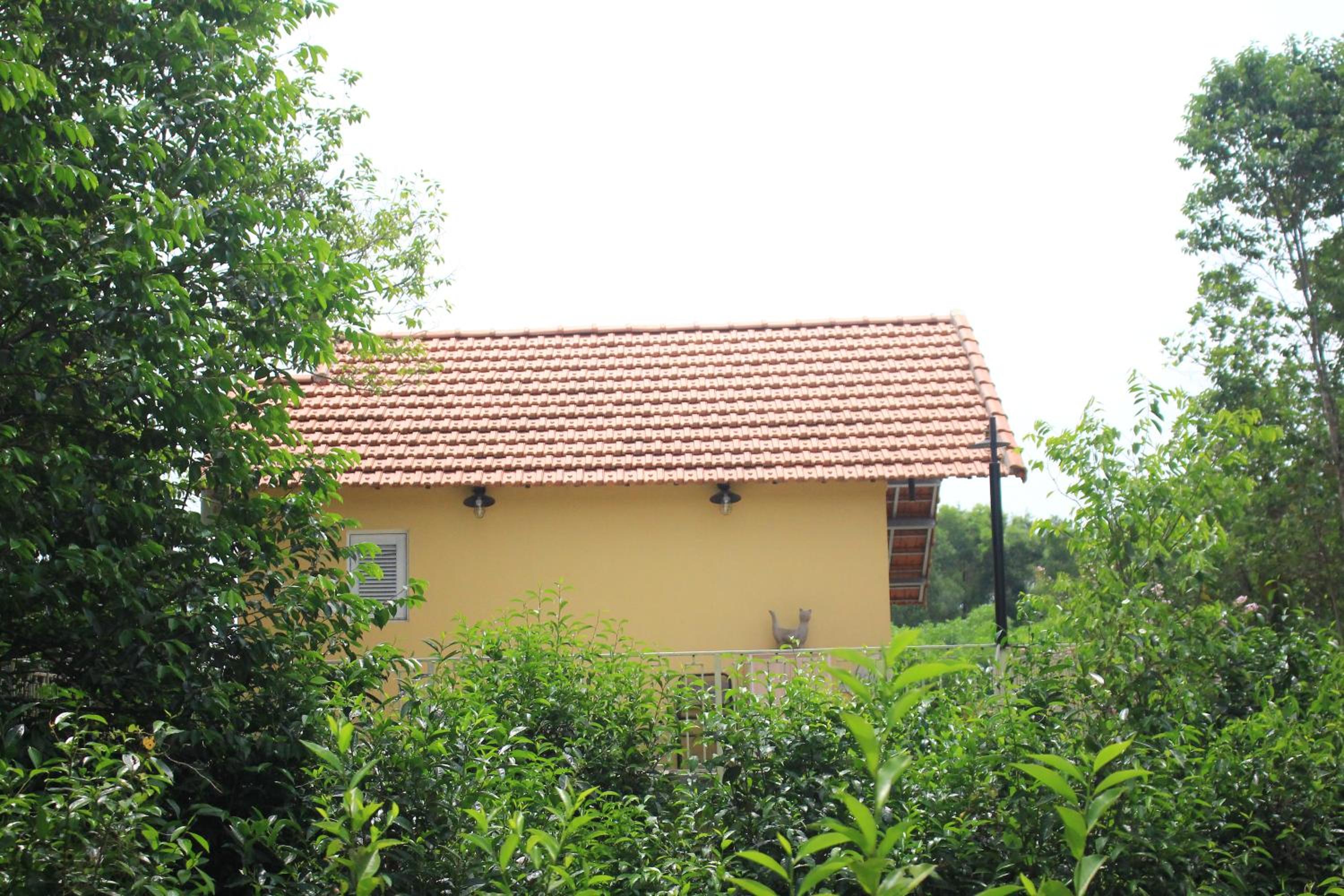 Photo 9
