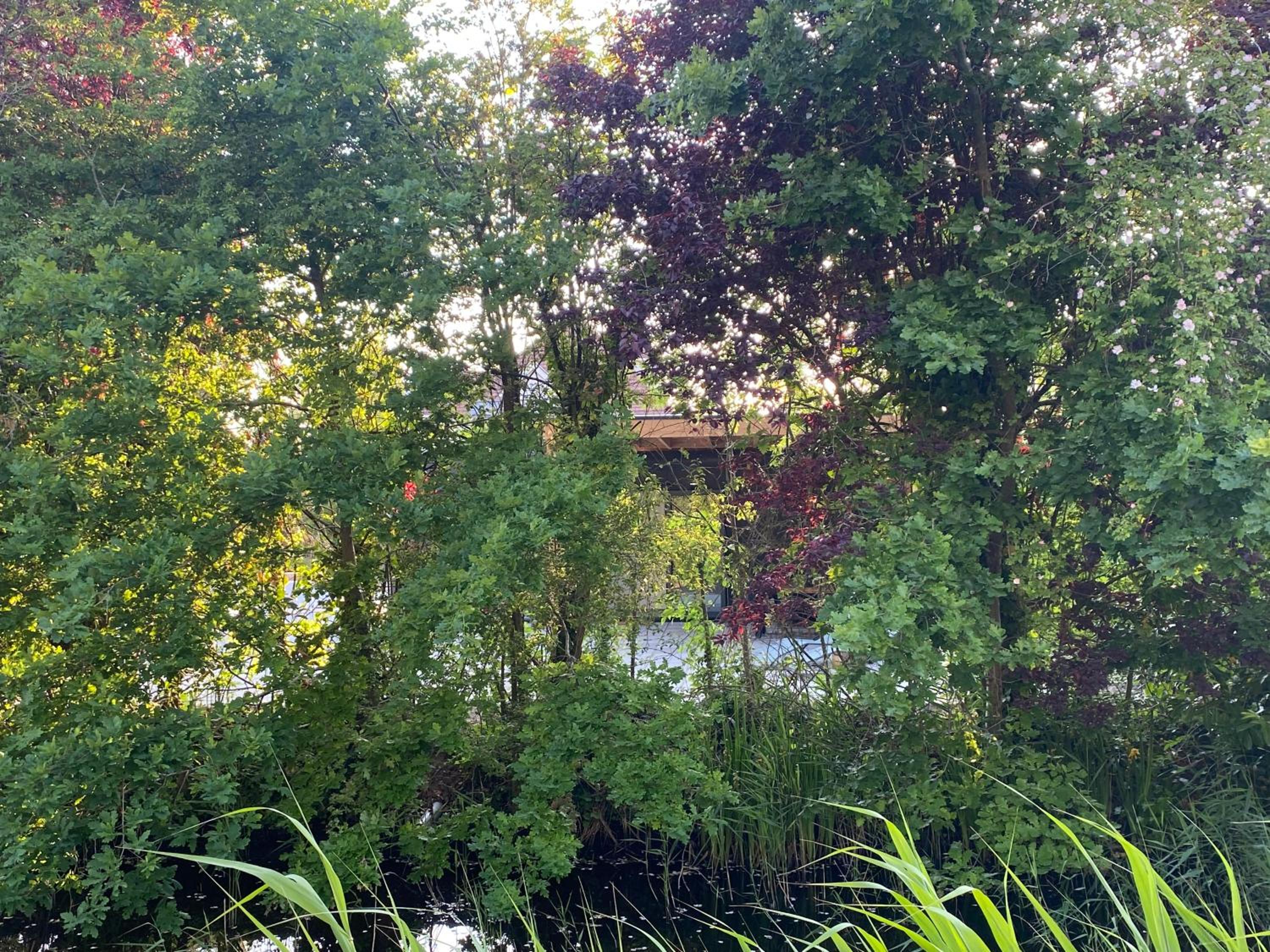Photo 44