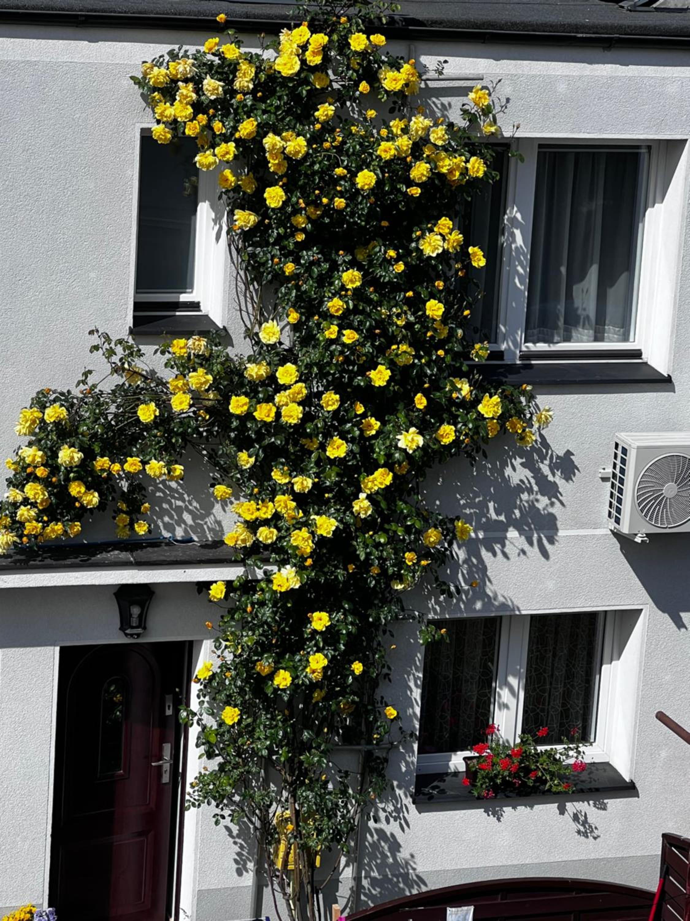 Photo 33