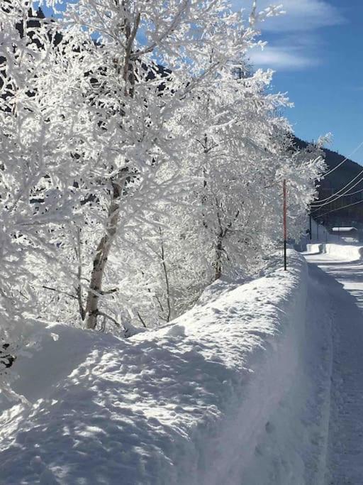 Fiesch-Lax Minnig Moritz