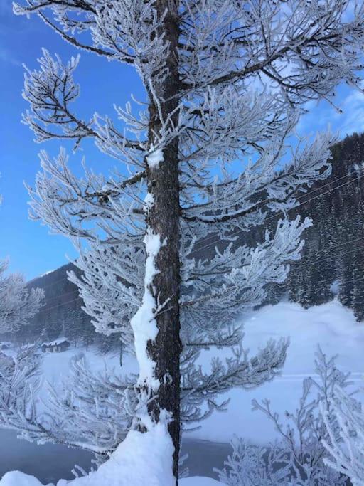Fiesch-Lax Minnig Moritz