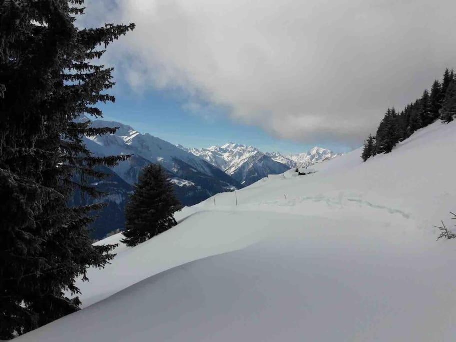Fiesch-Lax Minnig Moritz