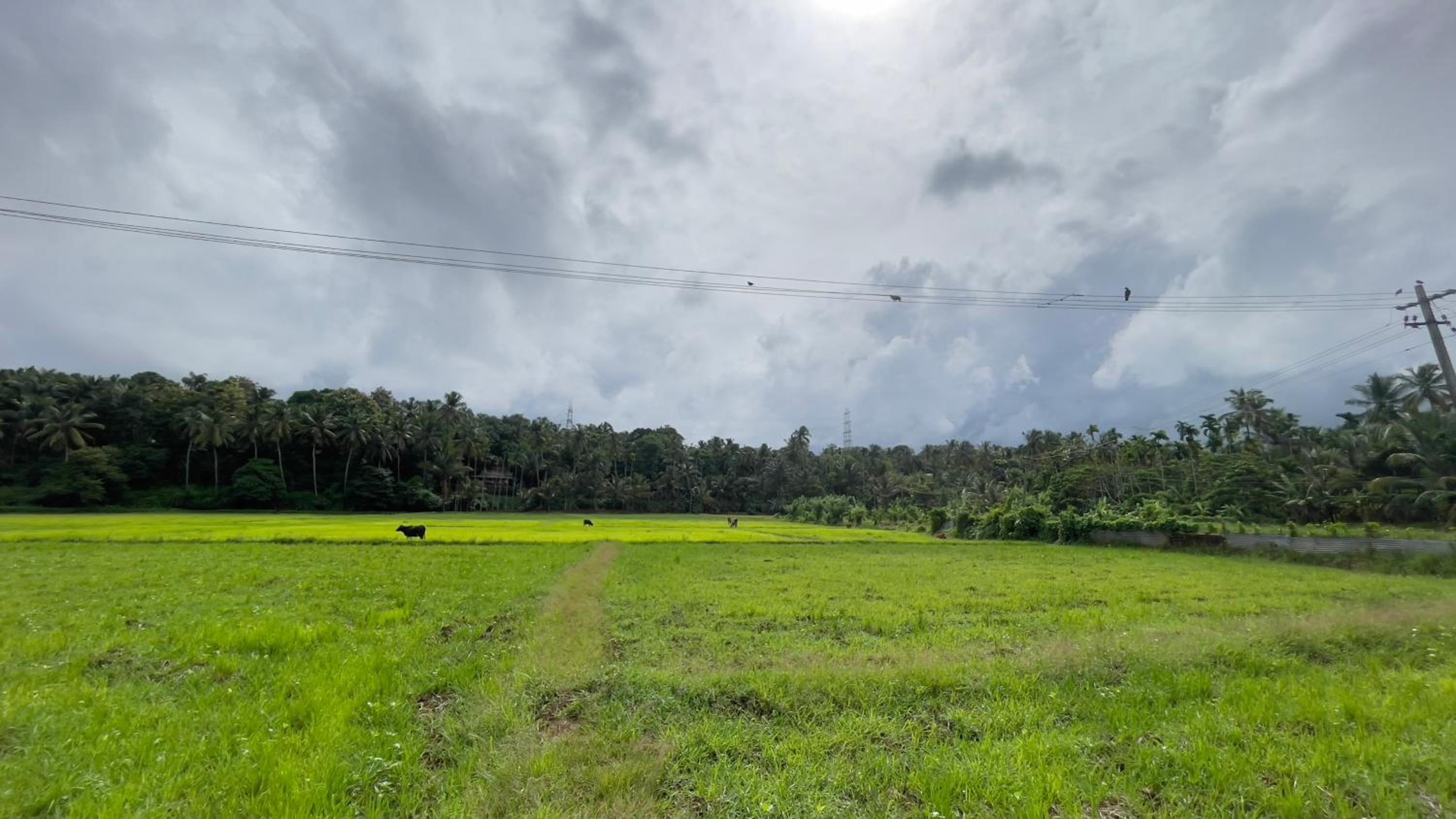 Sukrutham Farmstay