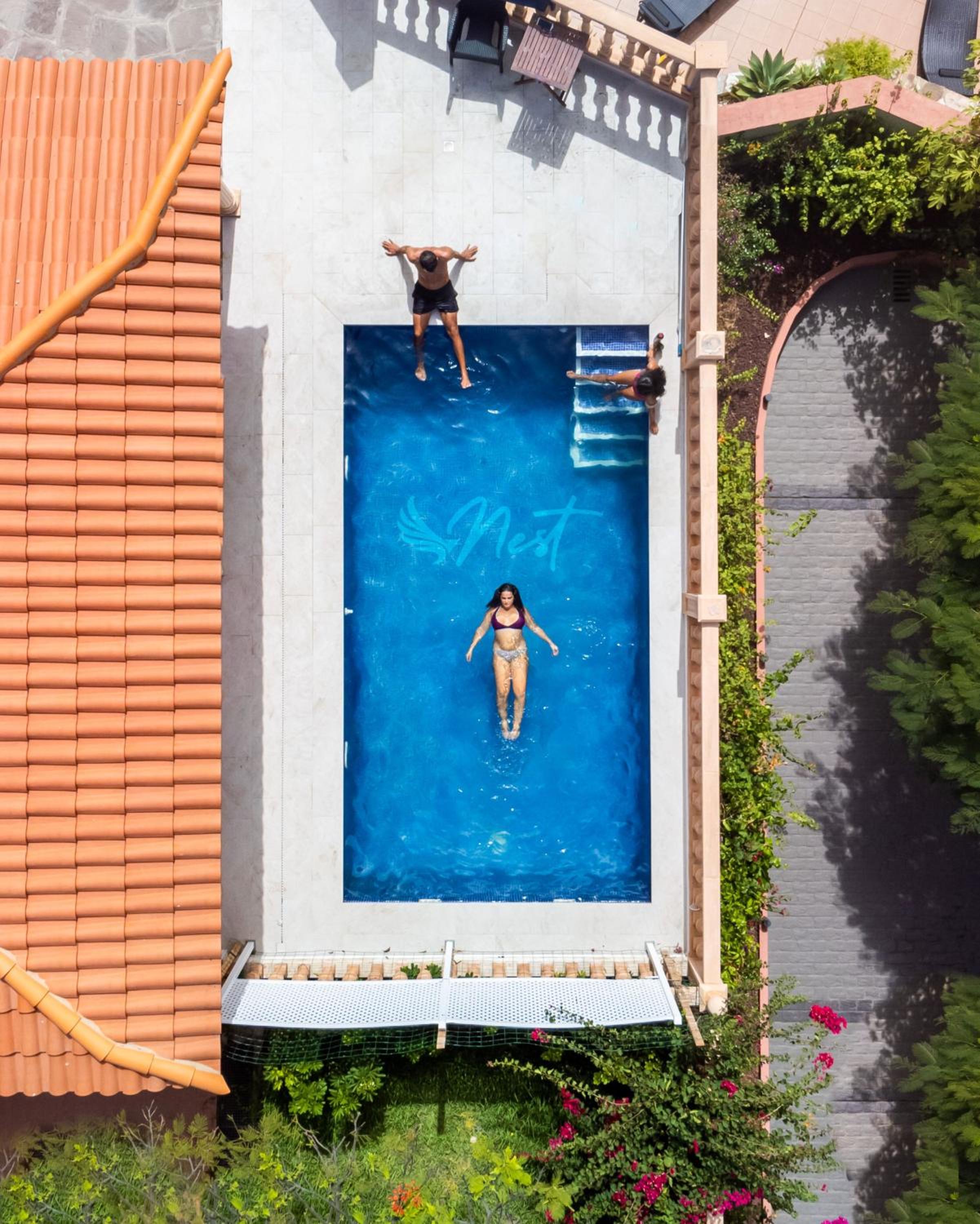 Duque Nest Hostel view 5
