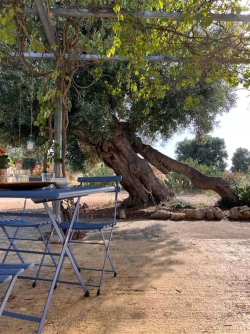 La Locanda di Felisiano photo 2