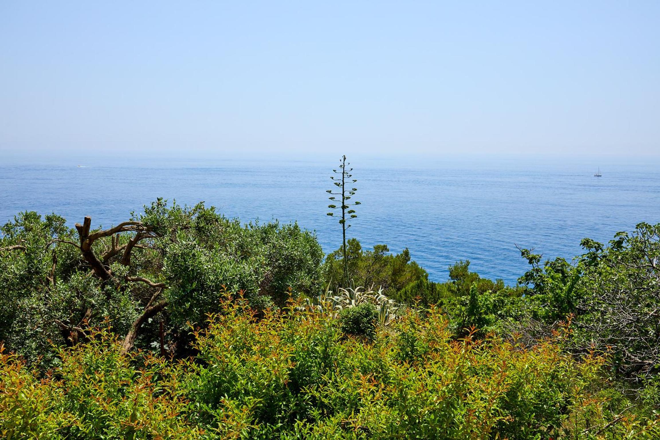 Vista Del Mare