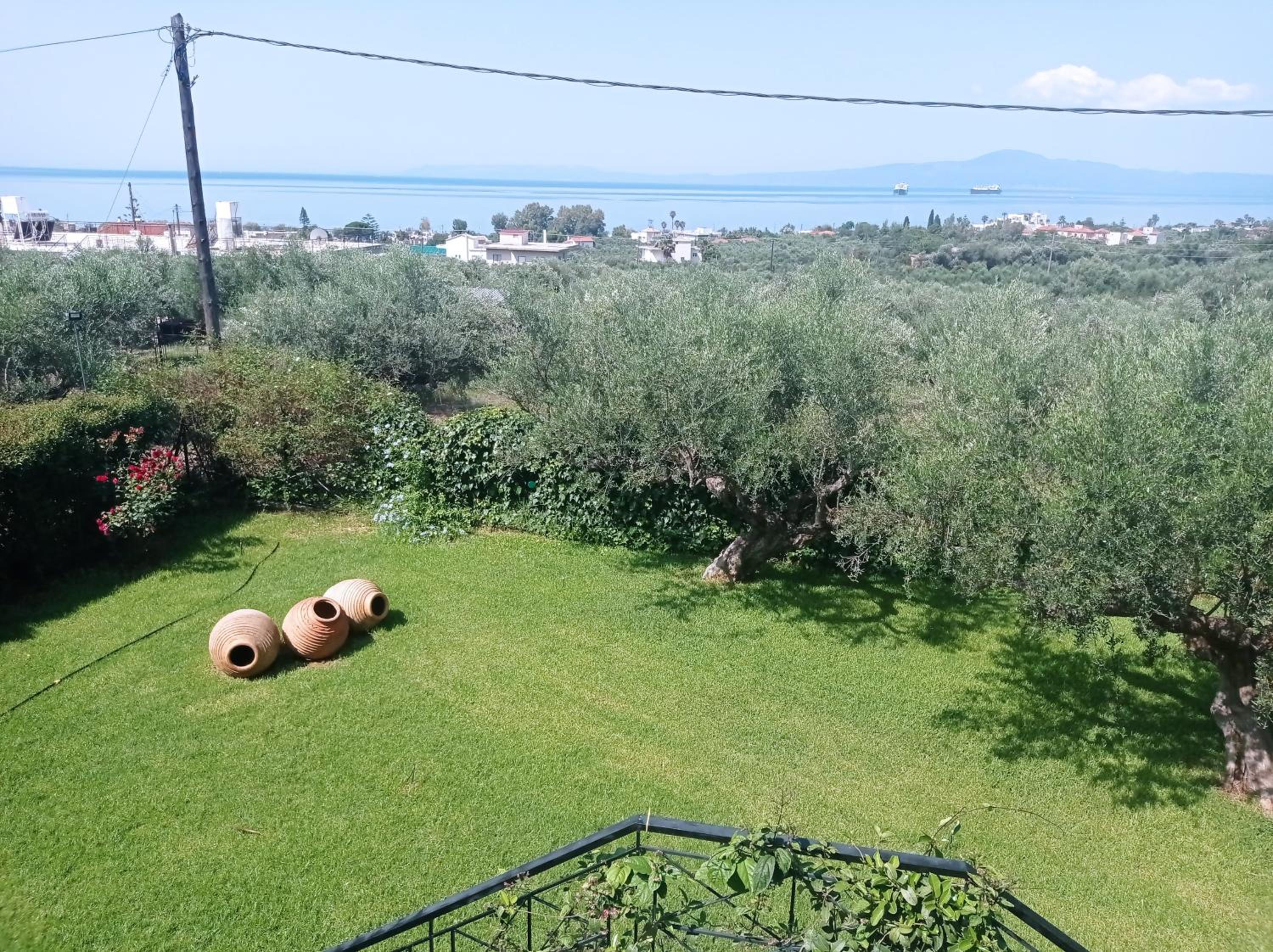 Dimitra's garden Two Houses