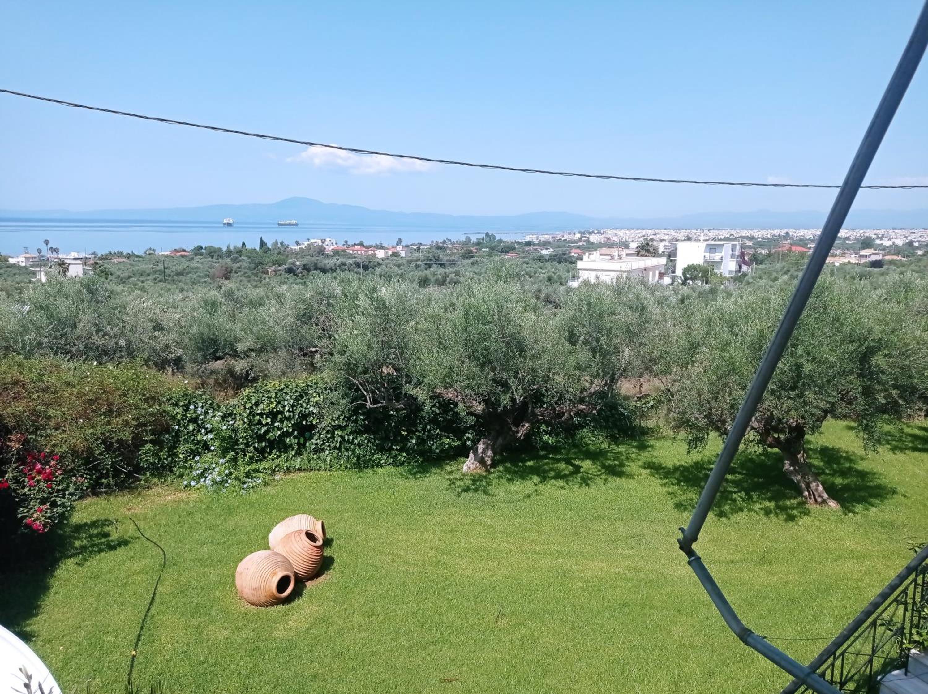 Dimitra's garden Two Houses