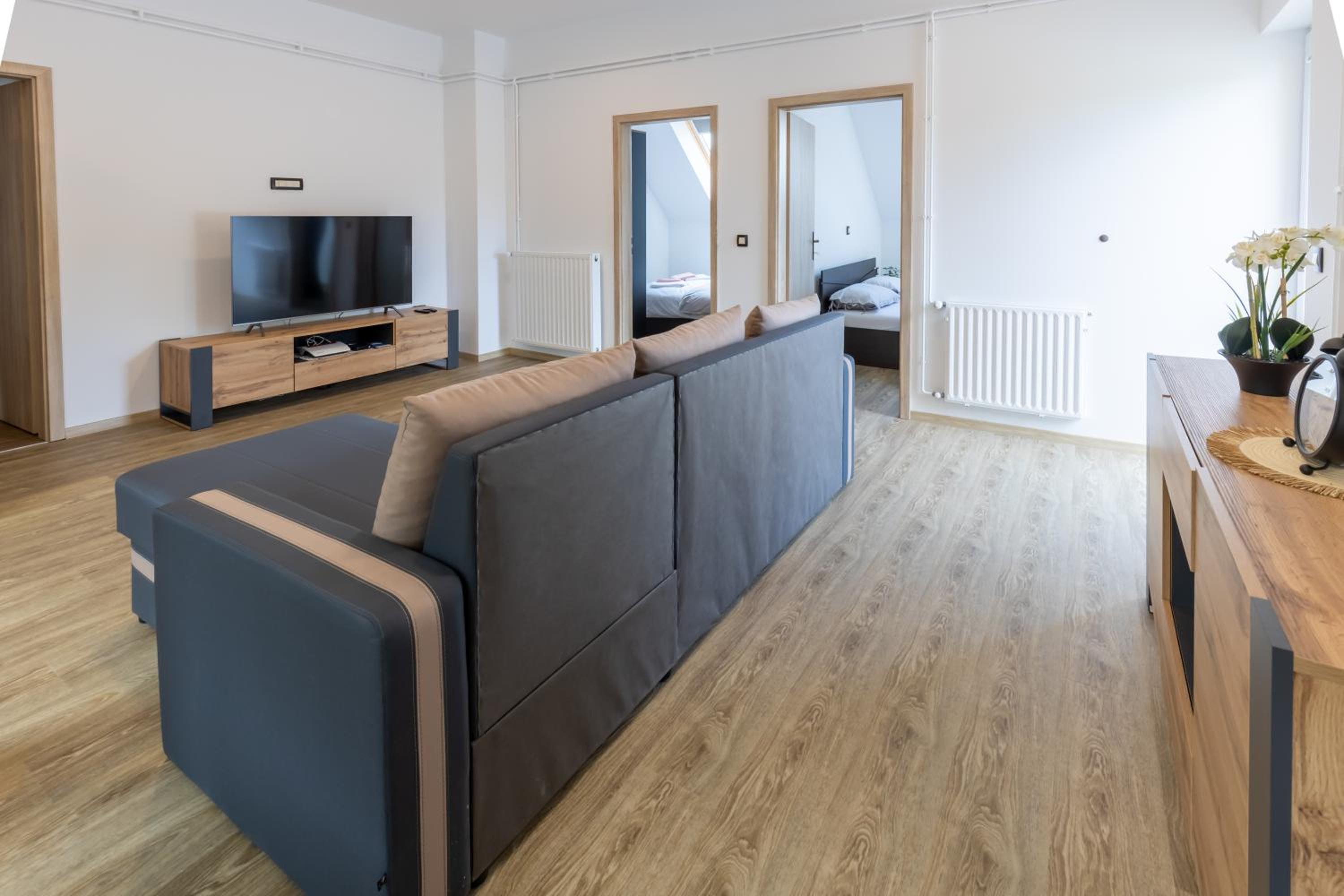 Apartma PUHAN view 5