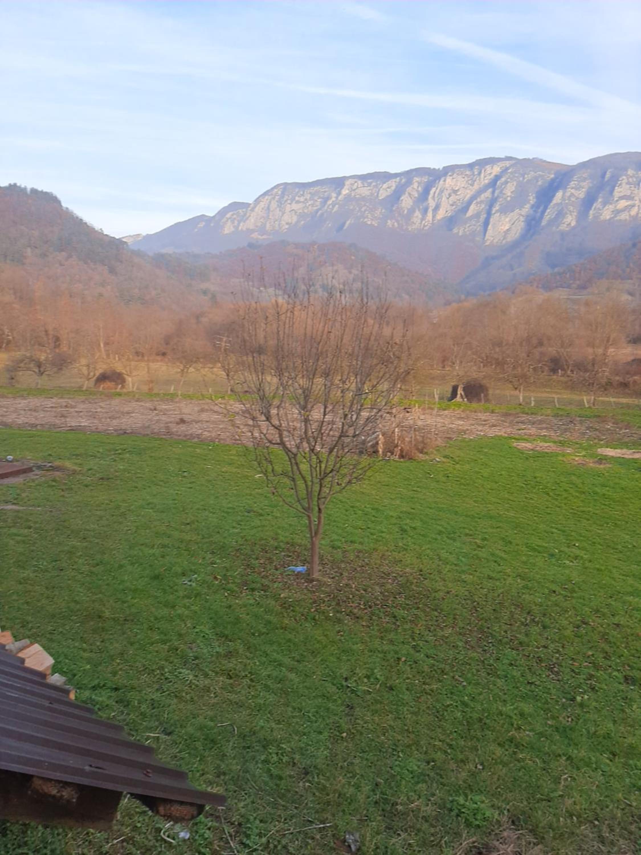 Pensiunea codru