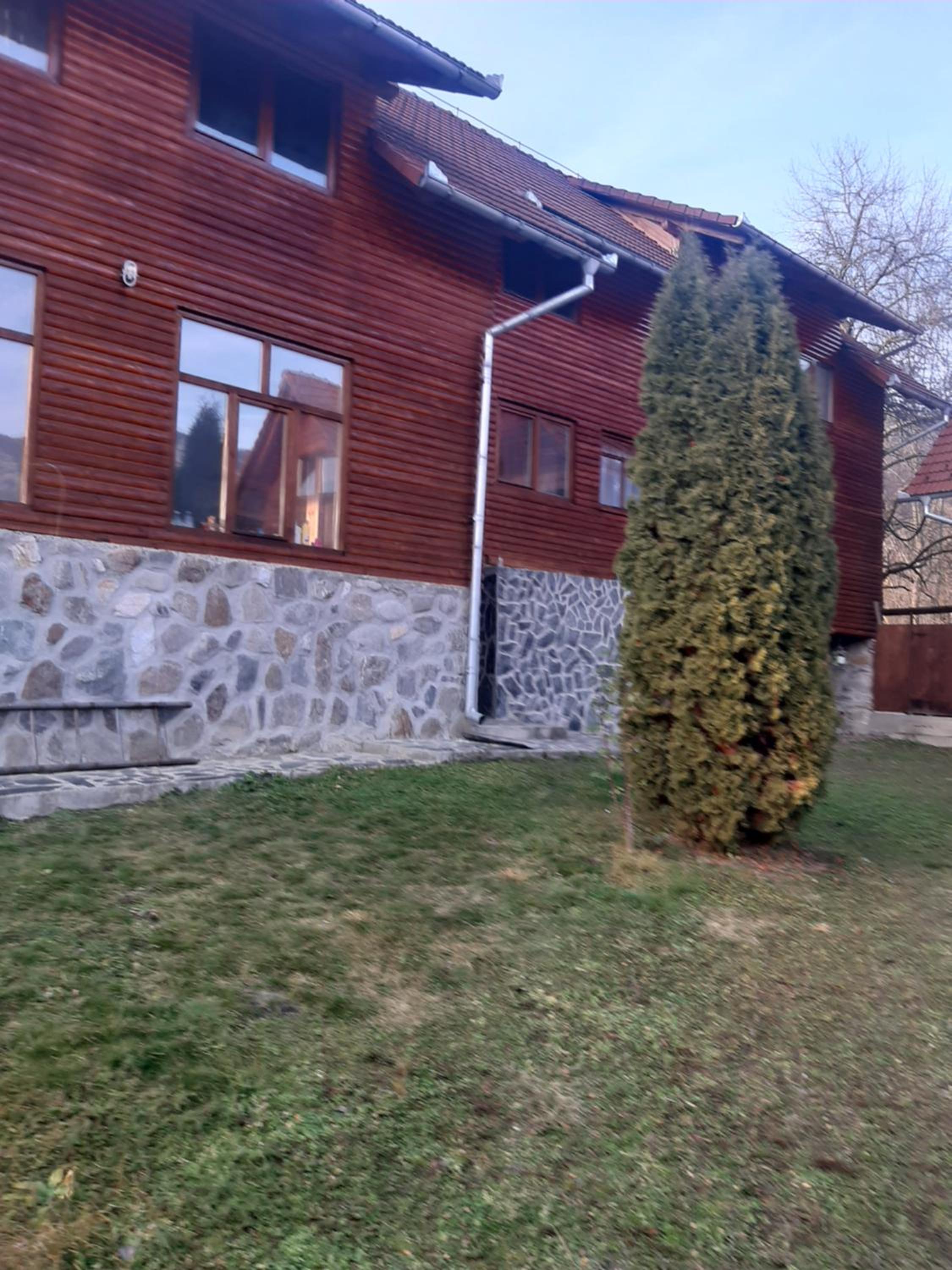 Pensiunea codru